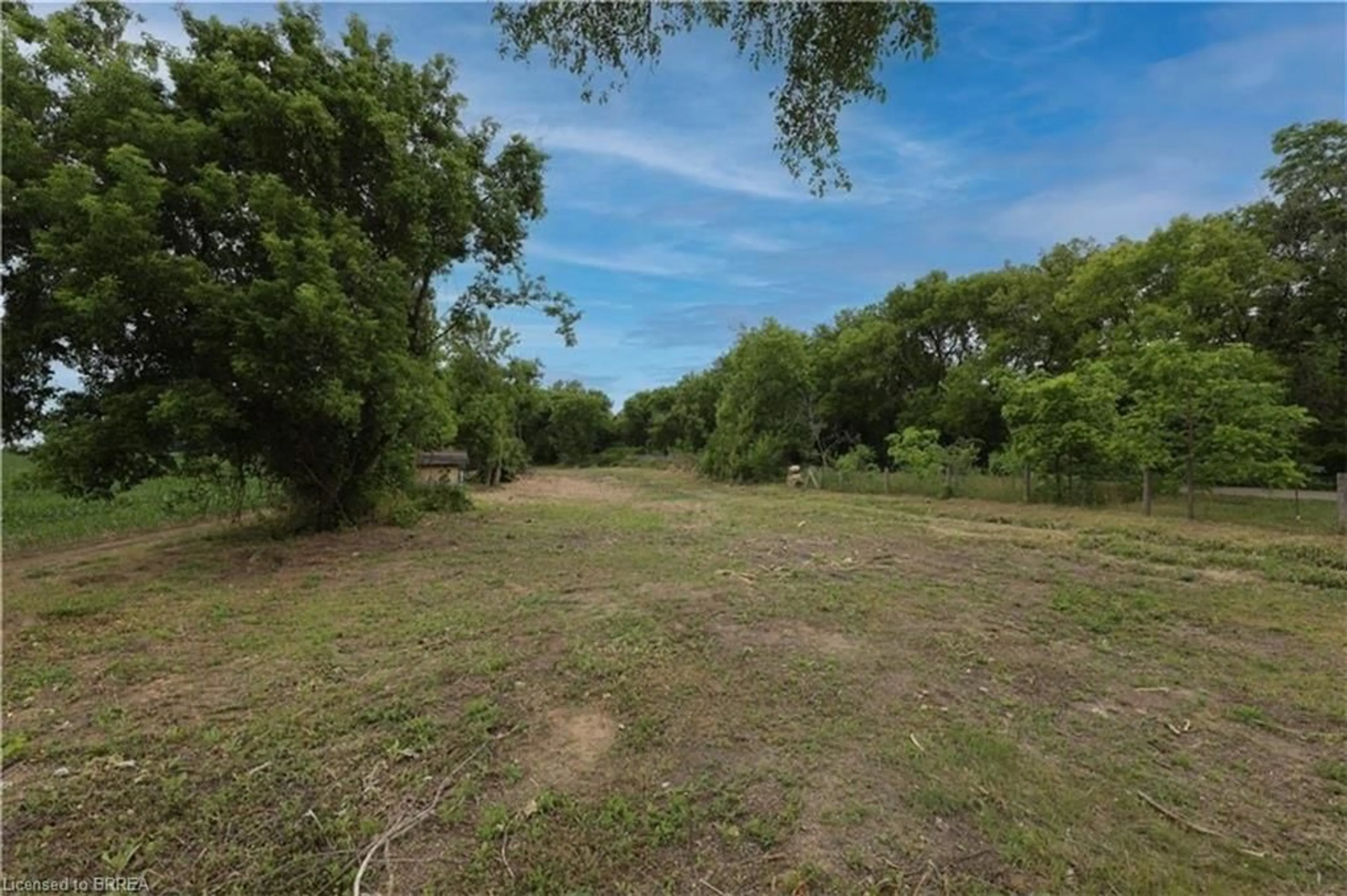 A pic from outside/outdoor area/front of a property/back of a property/a pic from drone, forest/trees view for 567 Burtch Rd, Mount Pleasant Ontario N0E 1K0
