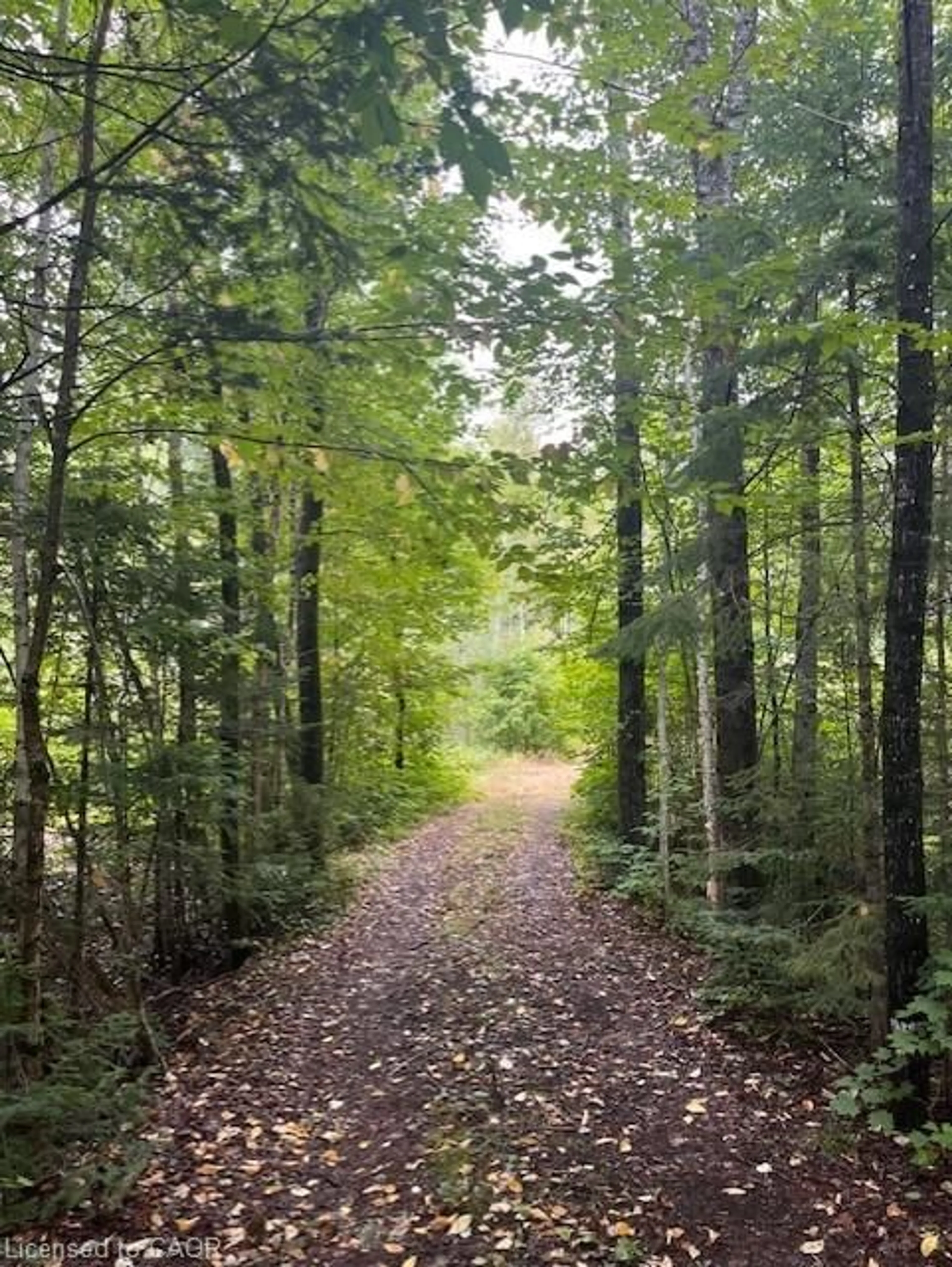 Blurry image for 4333 Loop Rd, Harcourt Ontario K0L 2A0