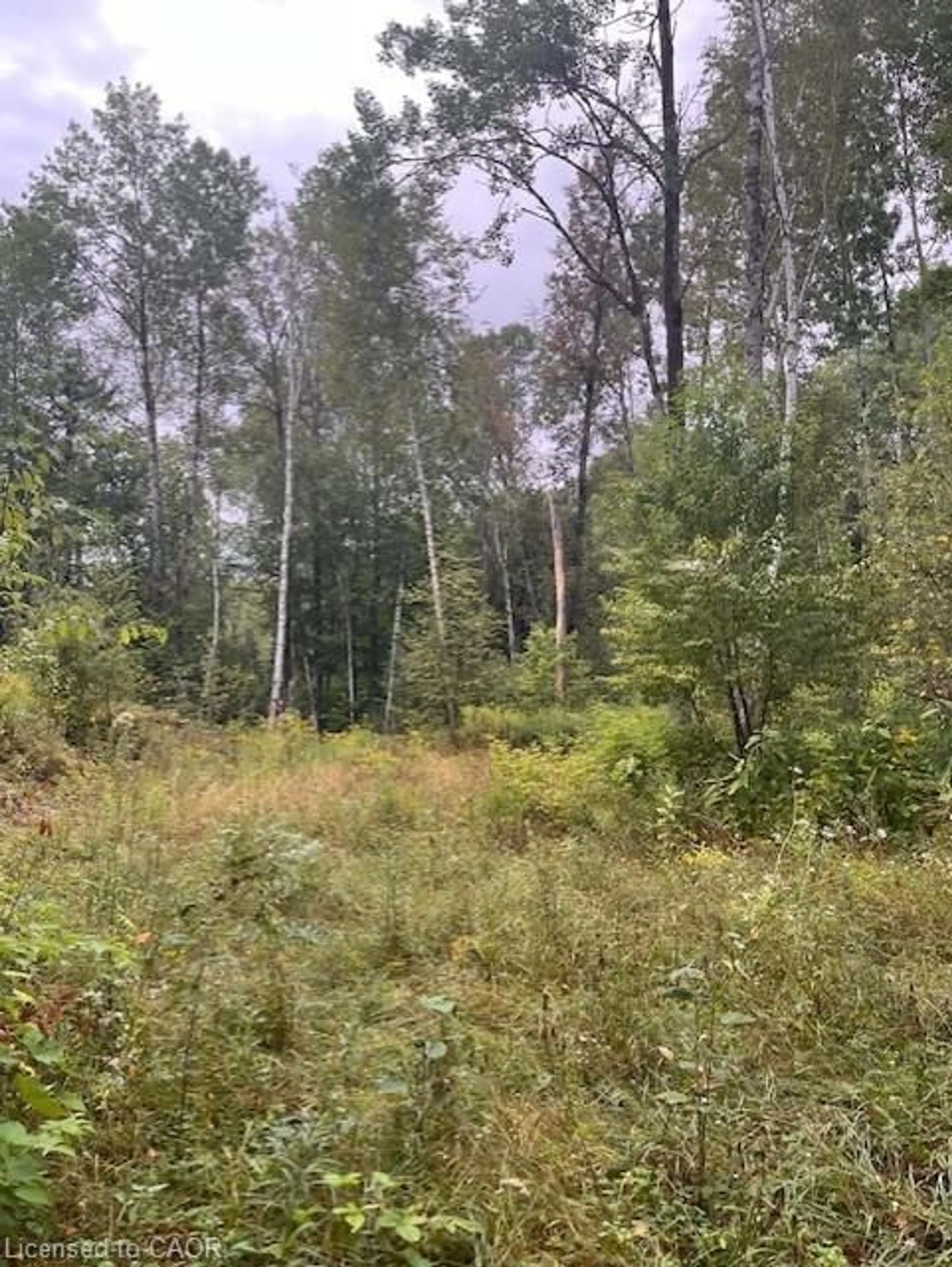 Blurry image for 4333 Loop Rd, Harcourt Ontario K0L 2A0