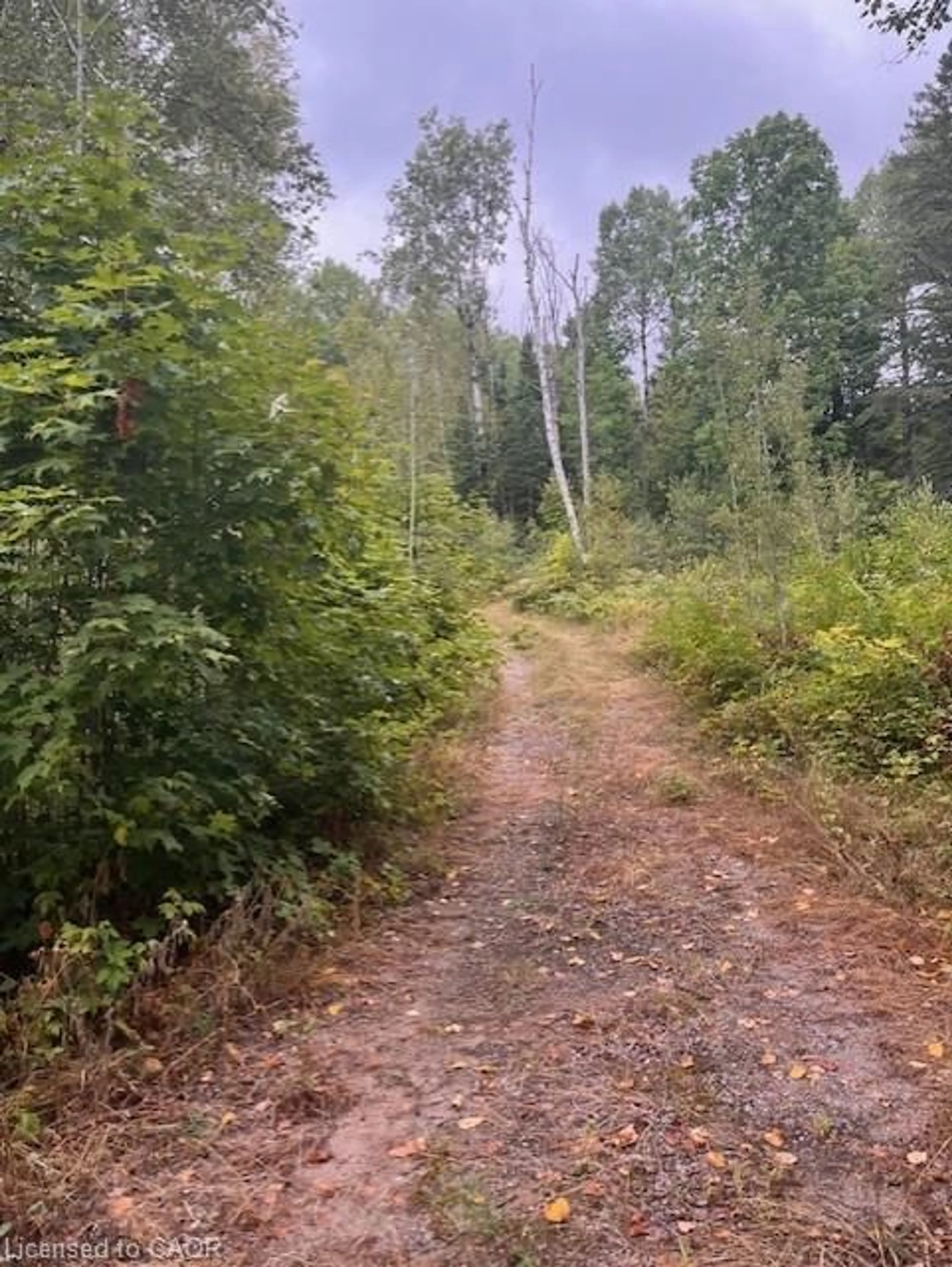 Unknown for 4333 Loop Rd, Harcourt Ontario K0L 2A0
