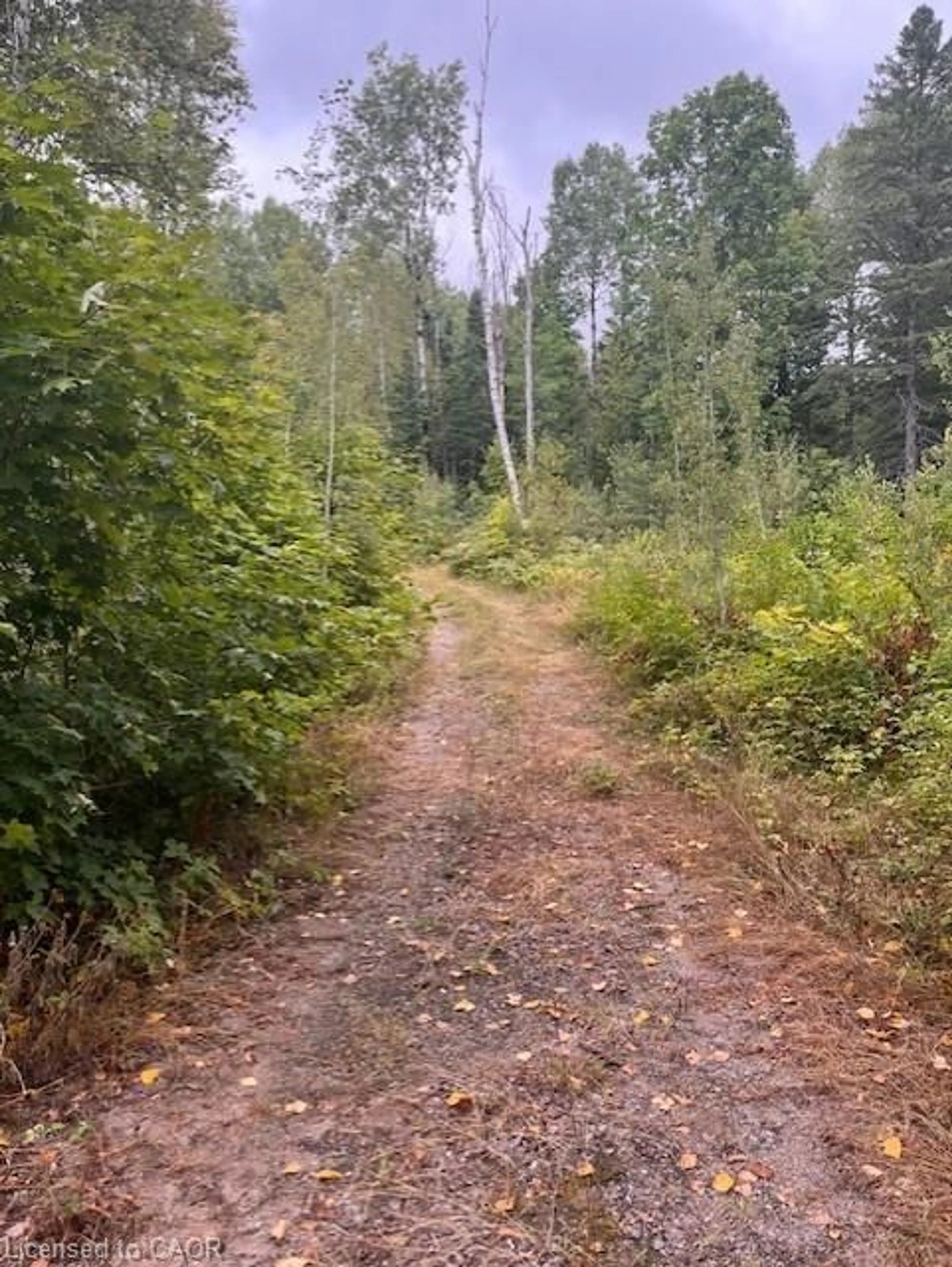 Blurry image for 4333 Loop Rd, Harcourt Ontario K0L 2A0