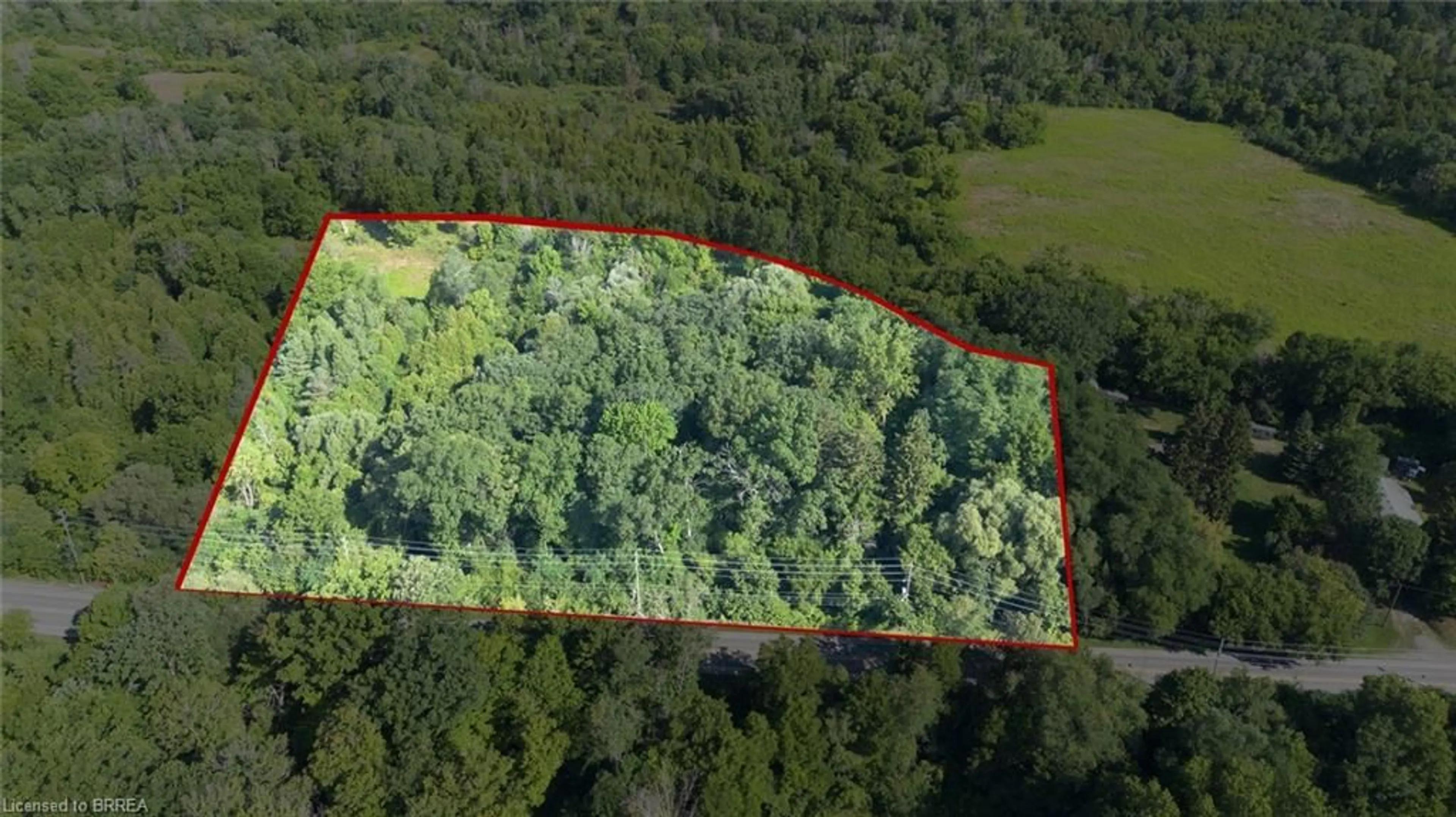 A pic from outside/outdoor area/front of a property/back of a property/a pic from drone, forest/trees view for PT LT 22 Con 2, Brantford Ontario N3T 5K7