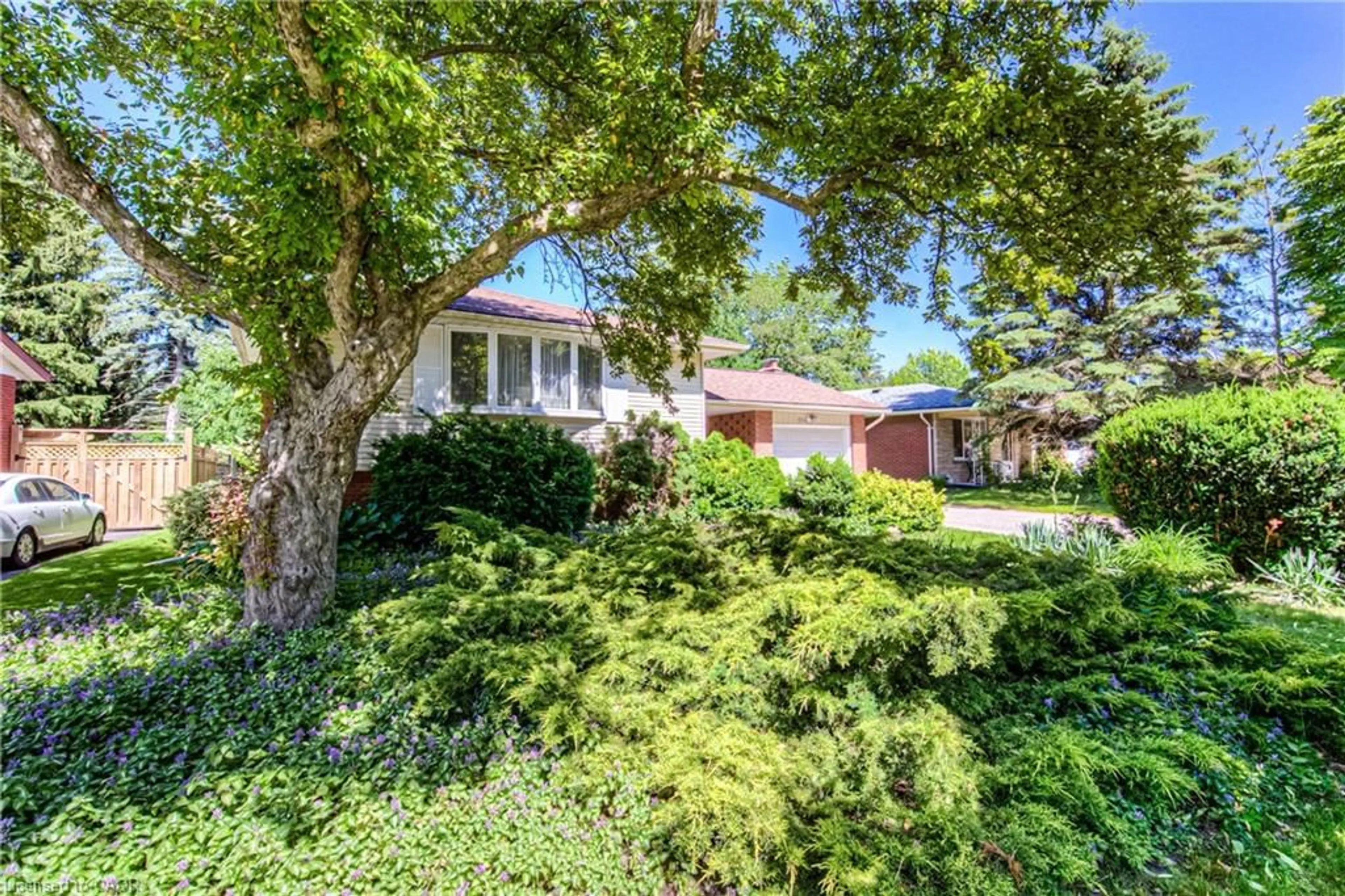 A pic from outside/outdoor area/front of a property/back of a property/a pic from drone, street for 554 Sprucehill Ave, Waterloo Ontario N2L 4V7