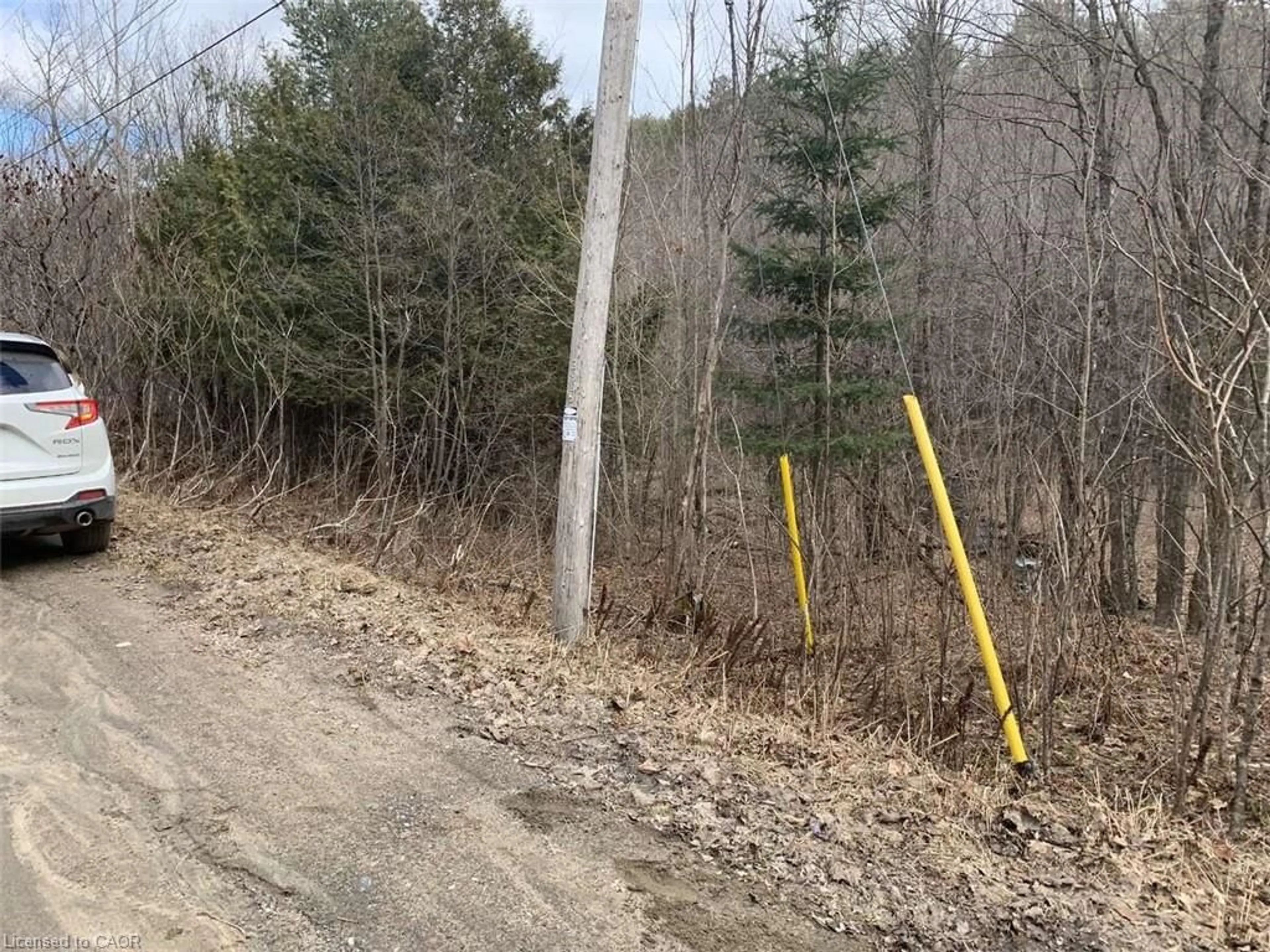 Blurry image for LOT 1 Colonial Rd, Minden Ontario K0M 2K0