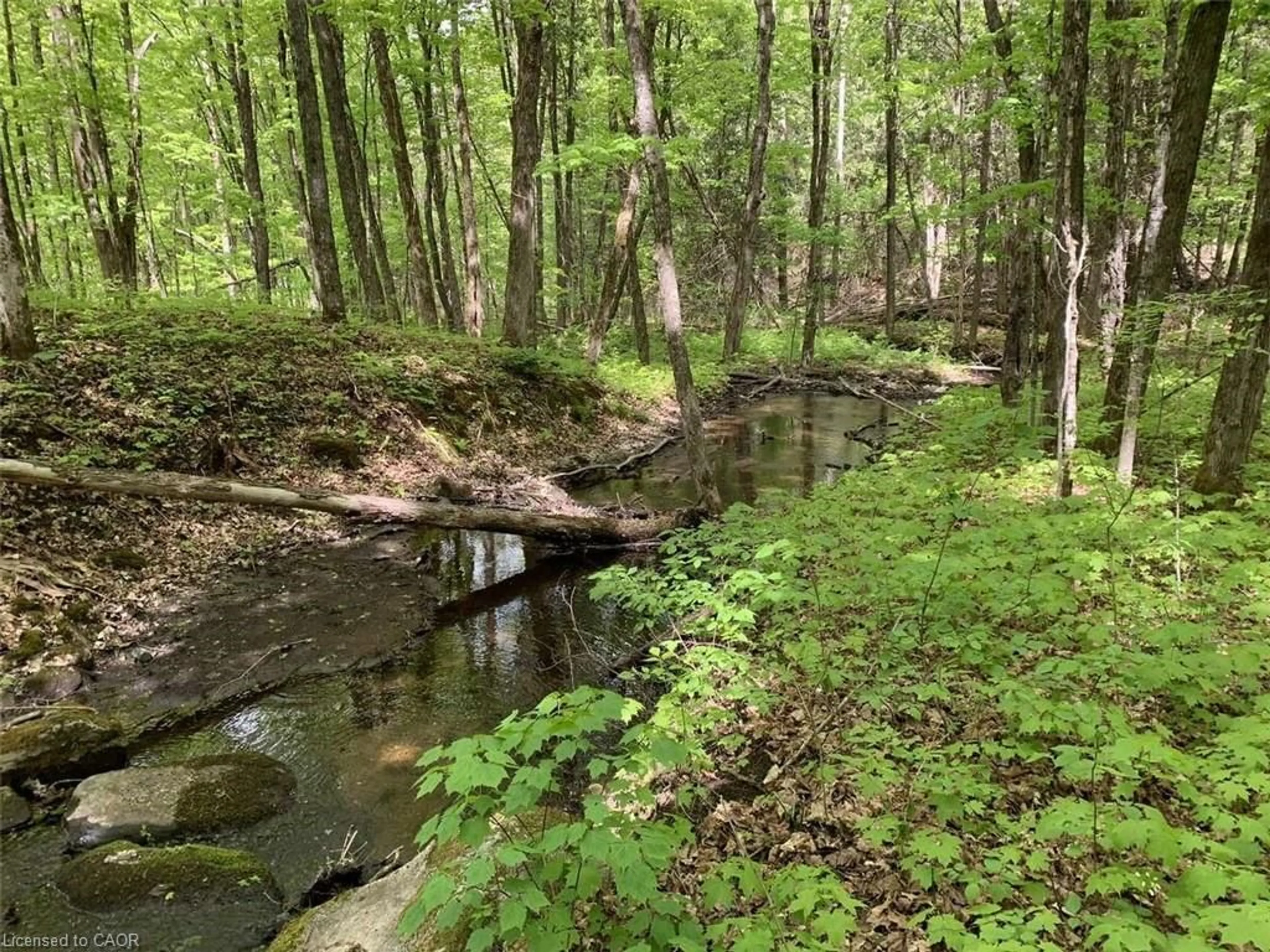 Blurry image for LOT 1 Colonial Rd, Minden Ontario K0M 2K0