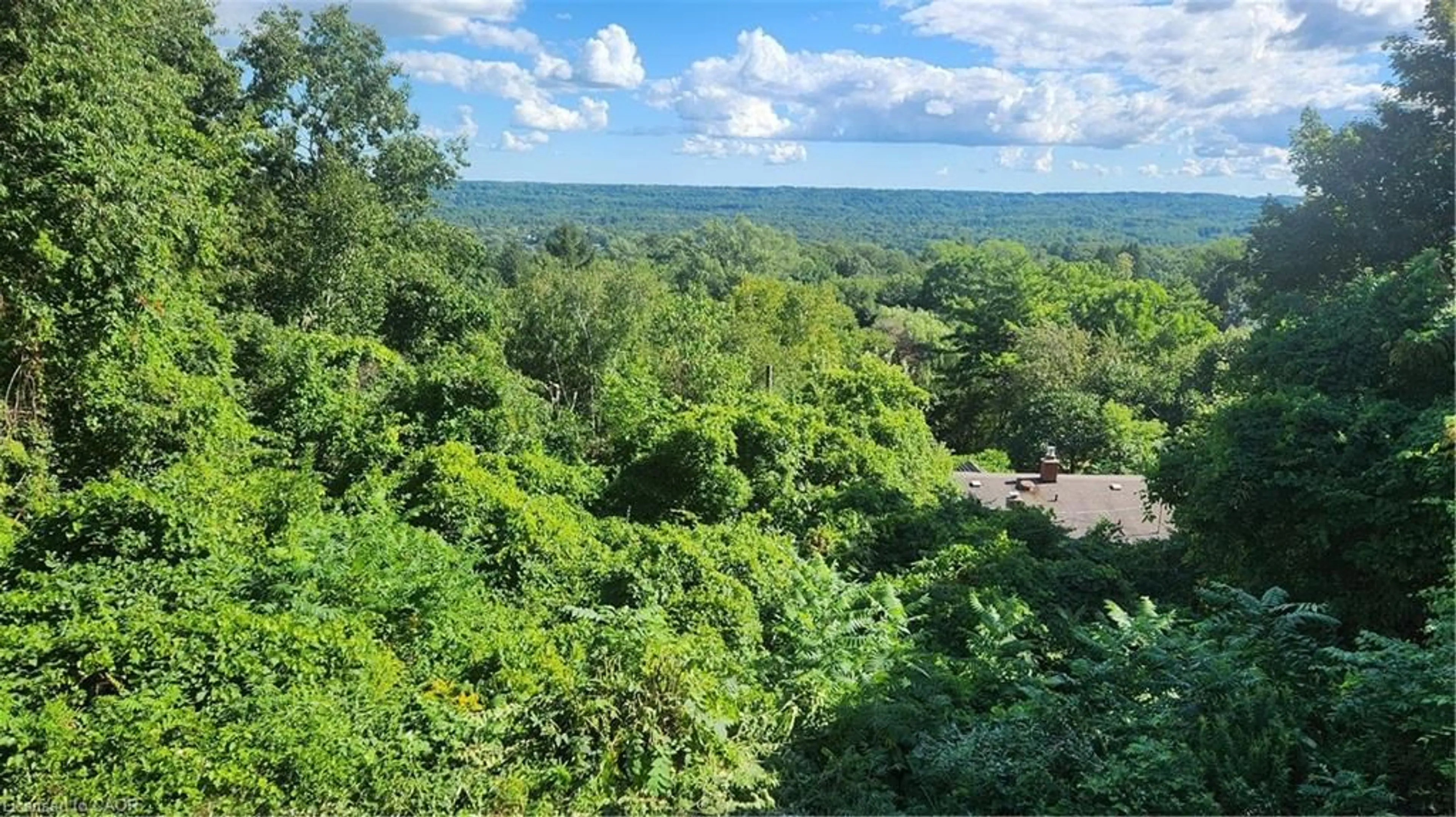 A pic from outside/outdoor area/front of a property/back of a property/a pic from drone, water/lake/river/ocean view for 50 Oak Ave, Dundas Ontario L9H 4Y9