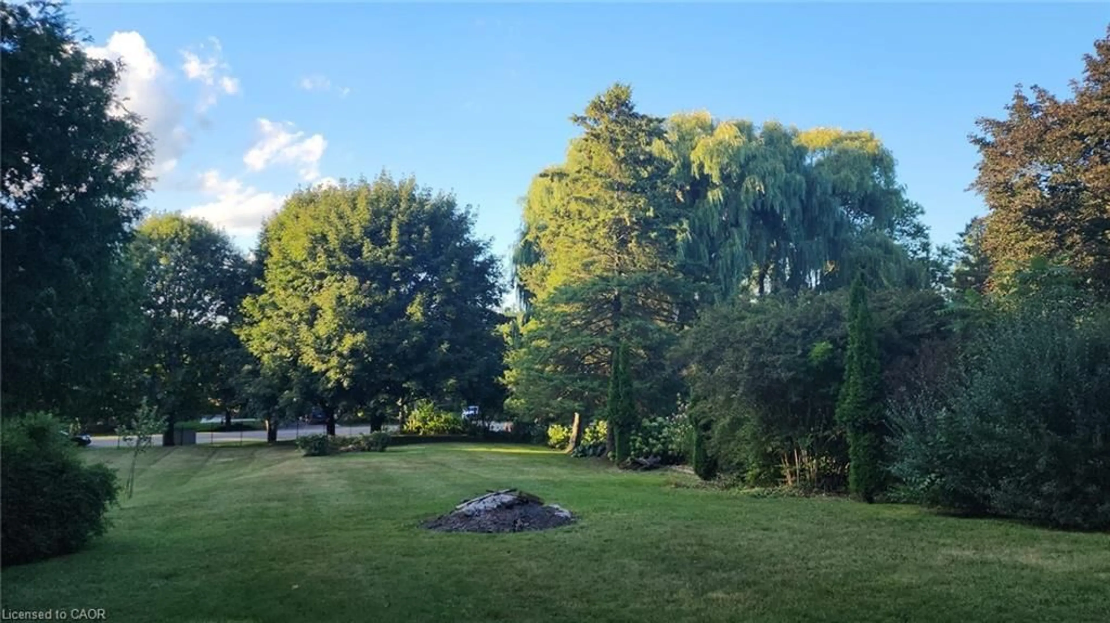 A pic from outside/outdoor area/front of a property/back of a property/a pic from drone, forest/trees view for 50 Oak Ave, Dundas Ontario L9H 4Y9
