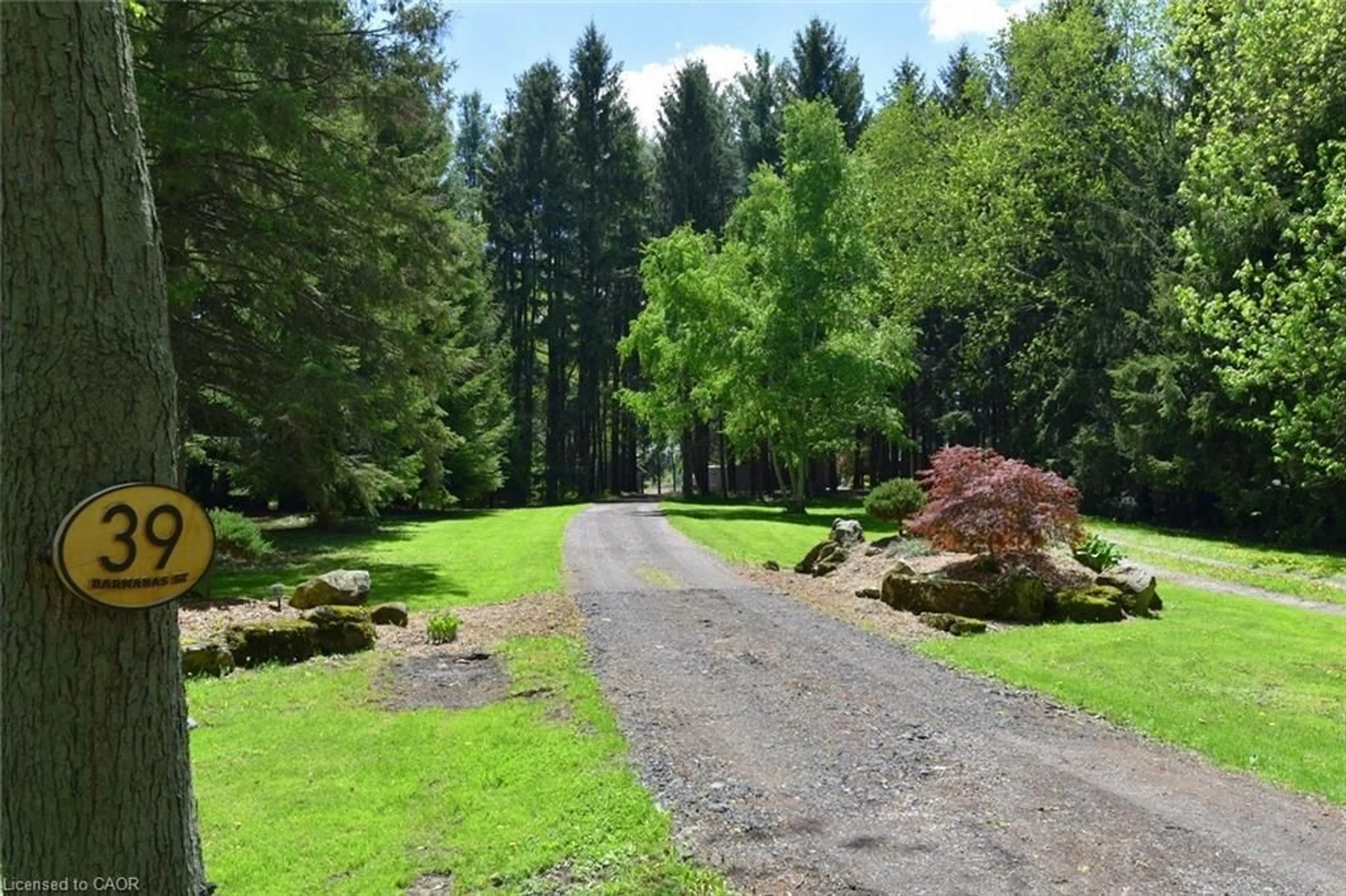 A pic from outside/outdoor area/front of a property/back of a property/a pic from drone, forest/trees view for 39 Barnabas St, Lynden Ontario L0R 1T0