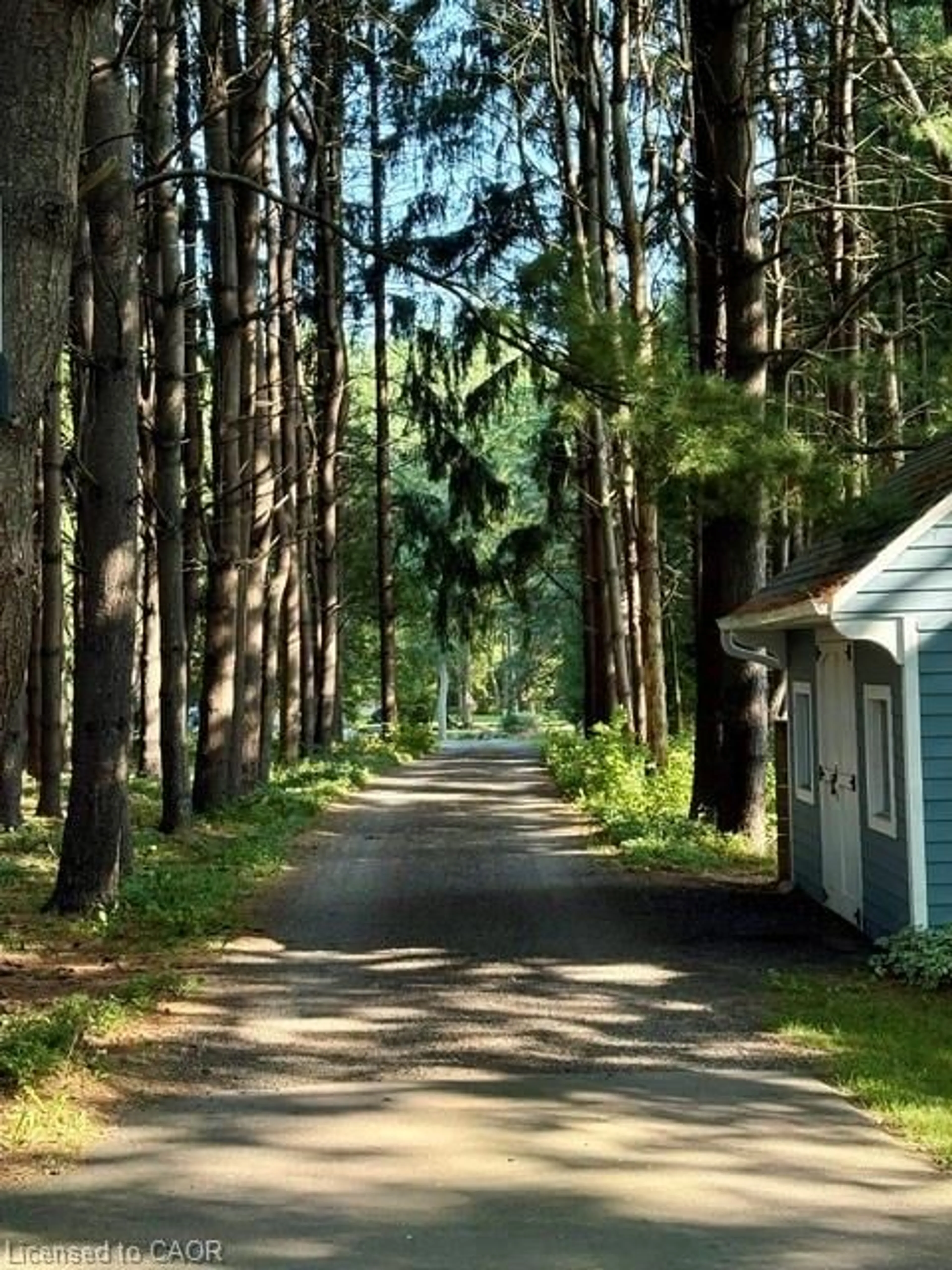 Unknown for 39 Barnabas St, Lynden Ontario L0R 1T0