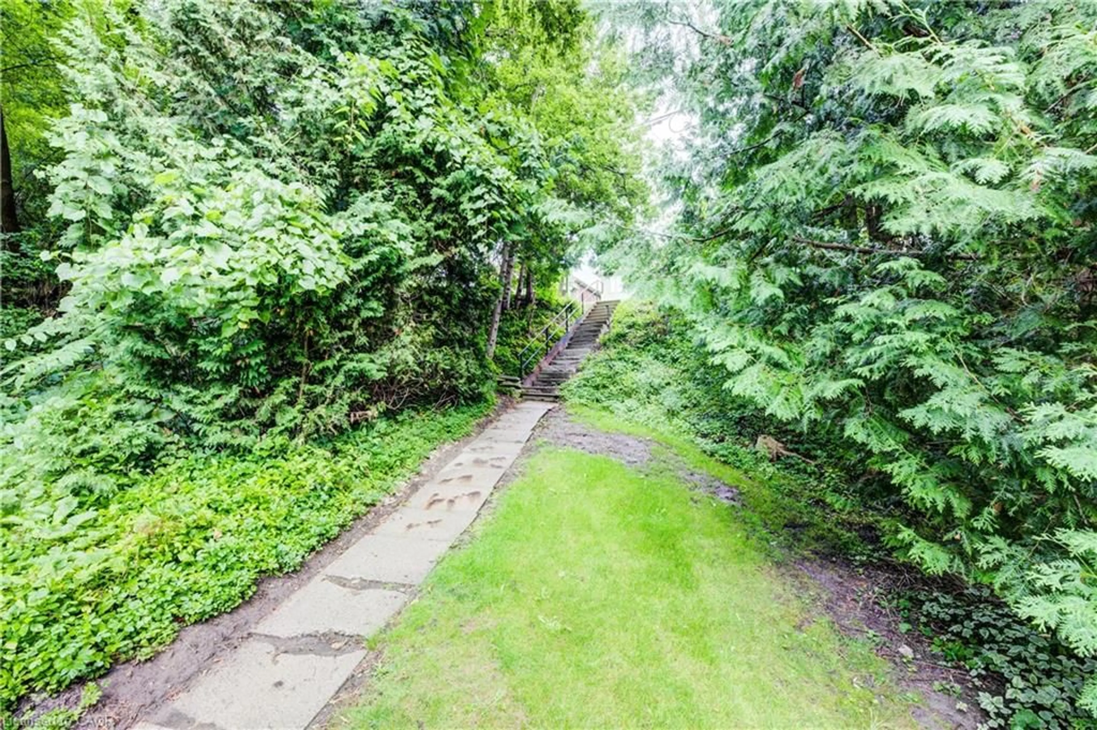 Patio, forest/trees view for 377 River Rd, Cambridge Ontario N3C 2B8