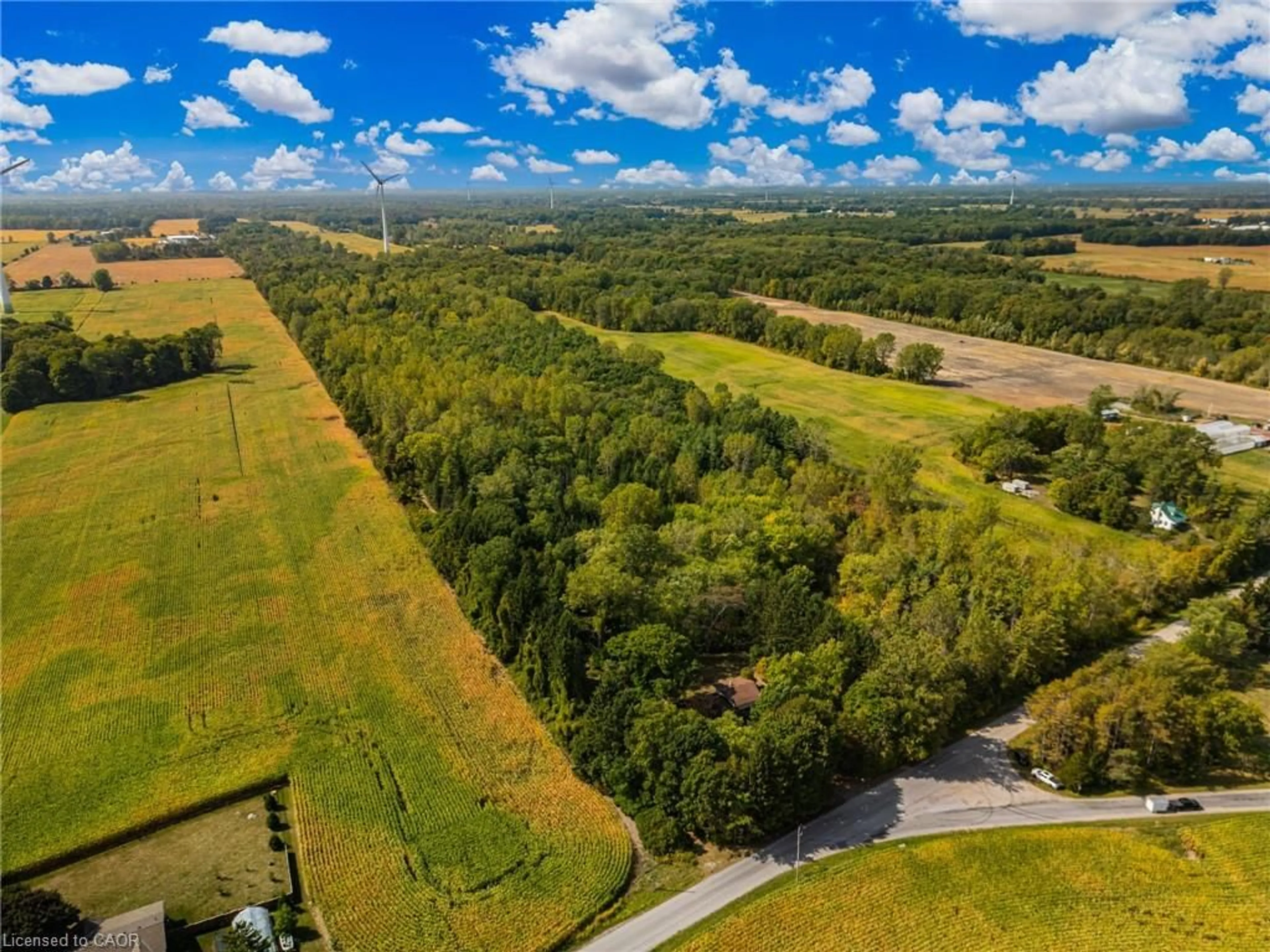 A pic from outside/outdoor area/front of a property/back of a property/a pic from drone, forest/trees view for 927 Wainfleet/Dunnville Townline Rd, Dunnville Ontario N0A 1K0