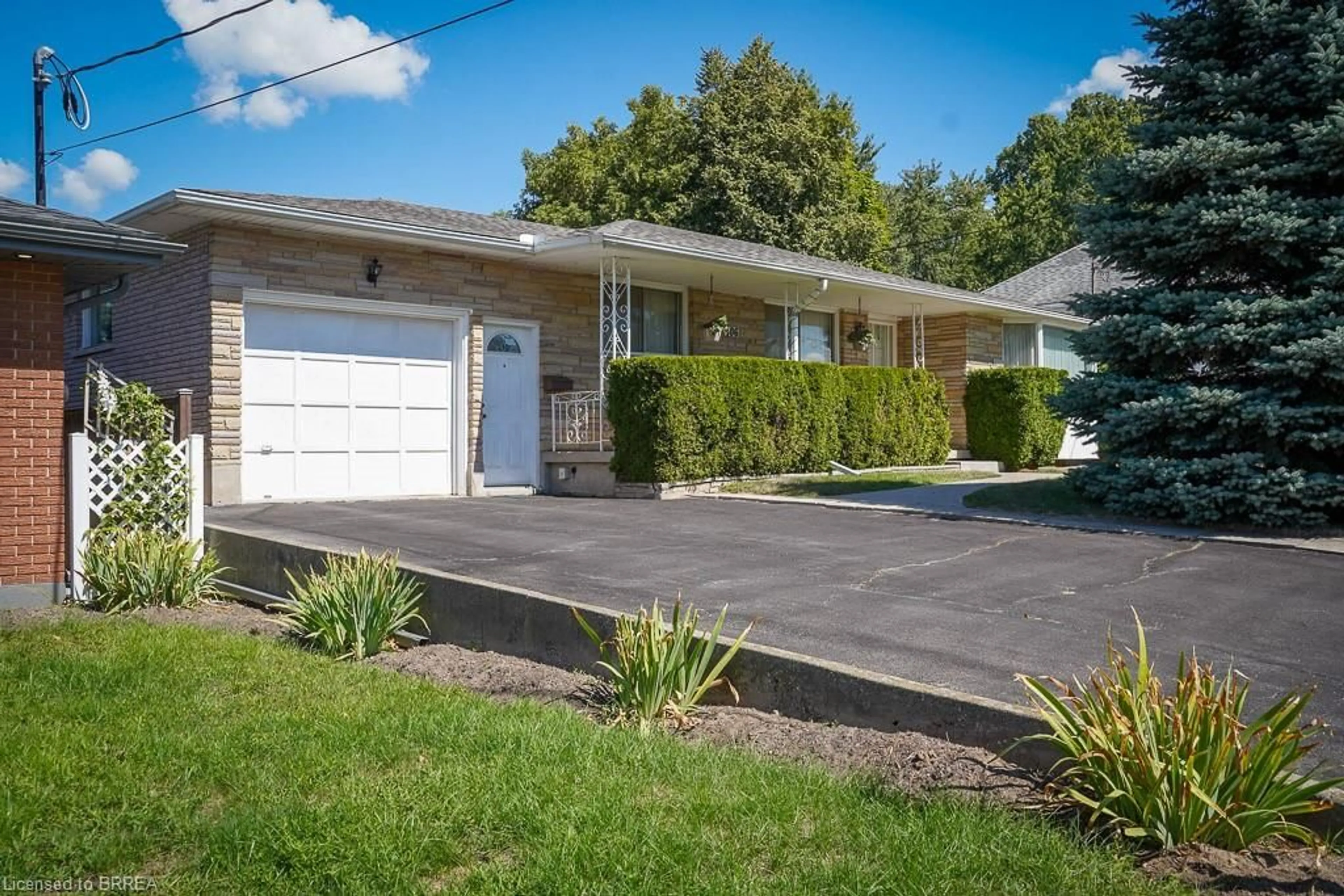 Home with vinyl exterior material, street for 406 Nelson St, Brantford Ontario N3S 4E8