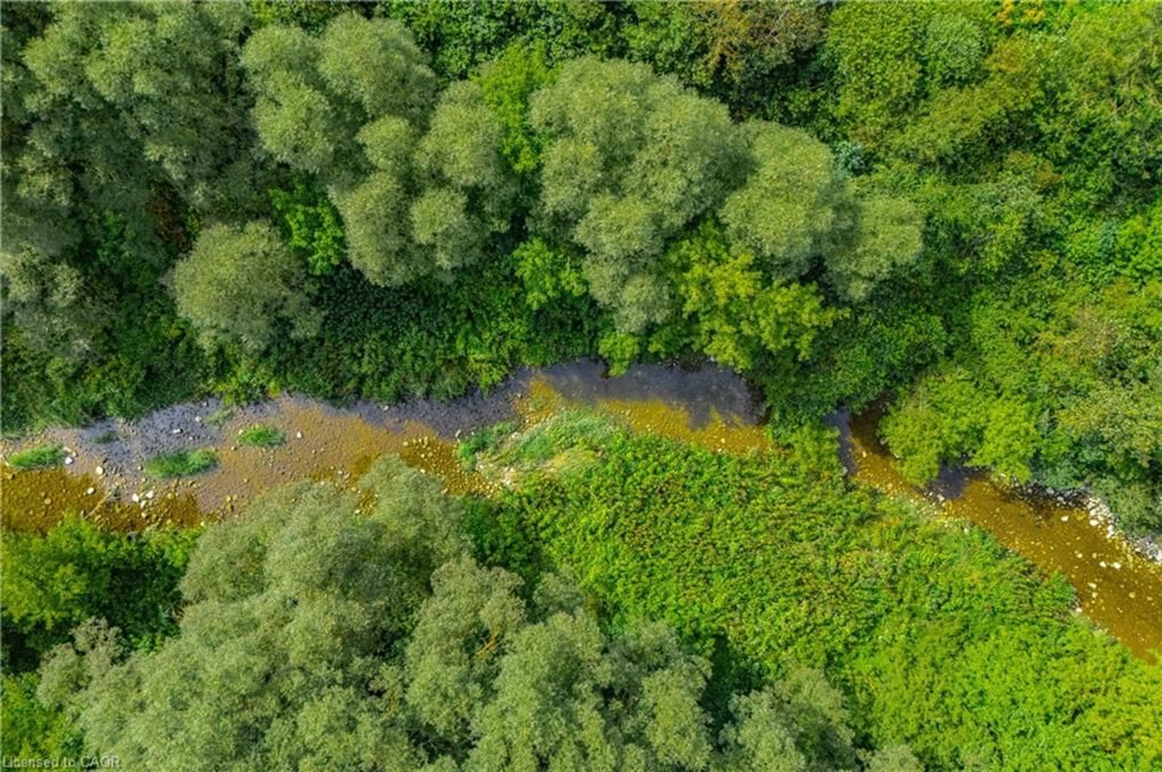 A pic from outside/outdoor area/front of a property/back of a property/a pic from drone, forest/trees view for 7916 Wellington Rd 109, Arthur Ontario N0G 1A0