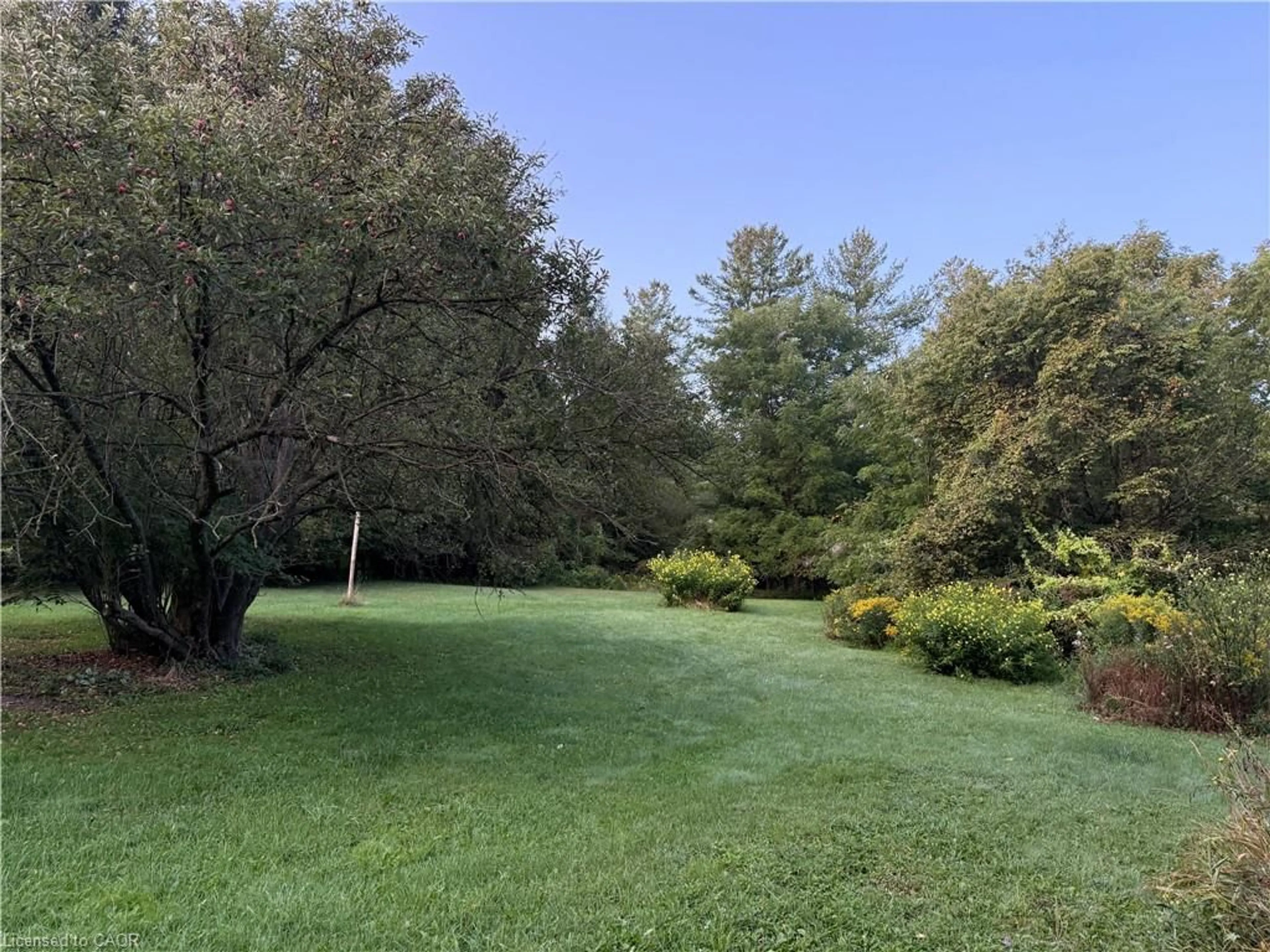 A pic from outside/outdoor area/front of a property/back of a property/a pic from drone, forest/trees view for 585 Wilmot Line, St. Agatha Ontario N2J 3Z4