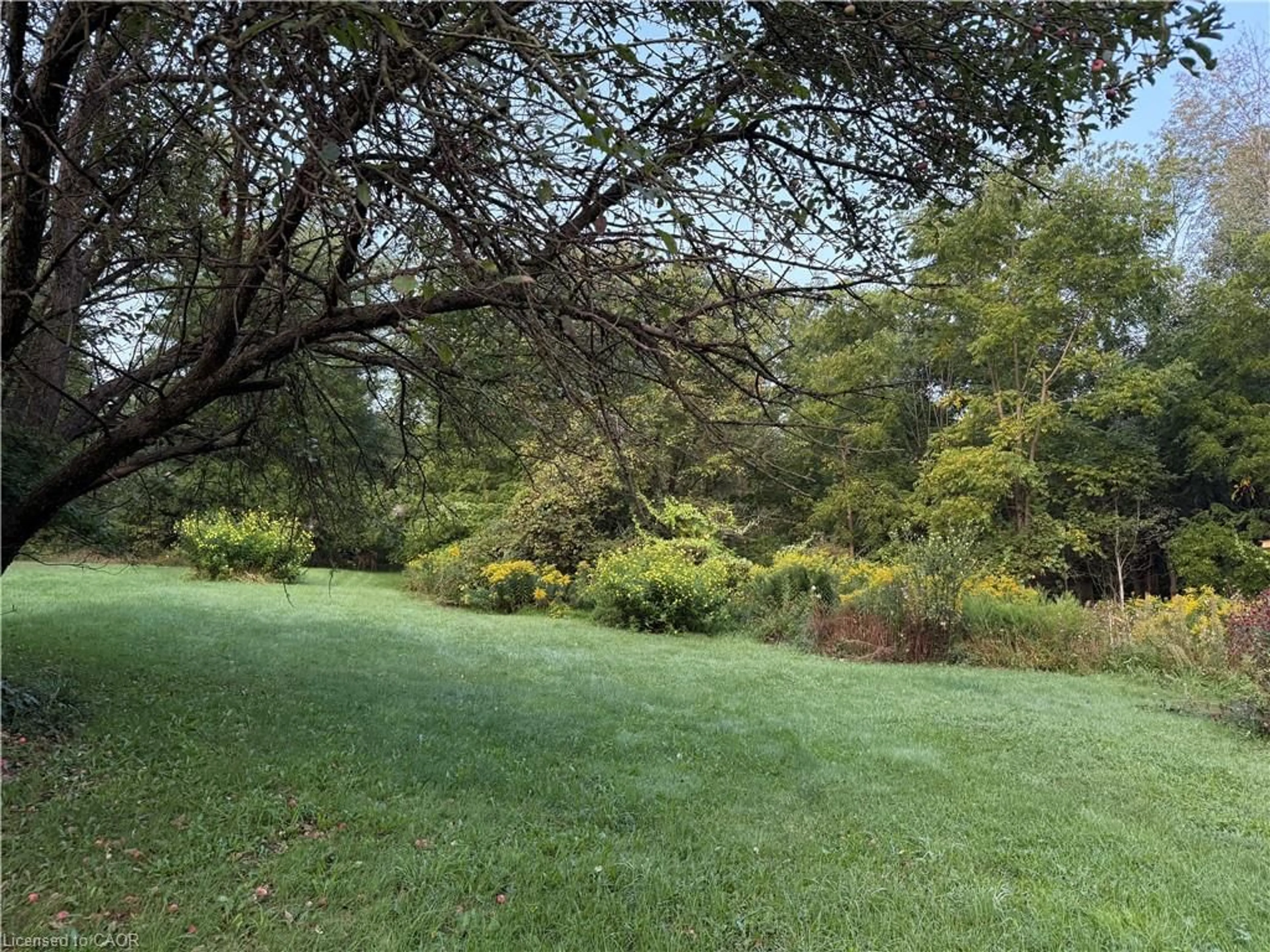 A pic from outside/outdoor area/front of a property/back of a property/a pic from drone, forest/trees view for 585 Wilmot Line, St. Agatha Ontario N2J 3Z4