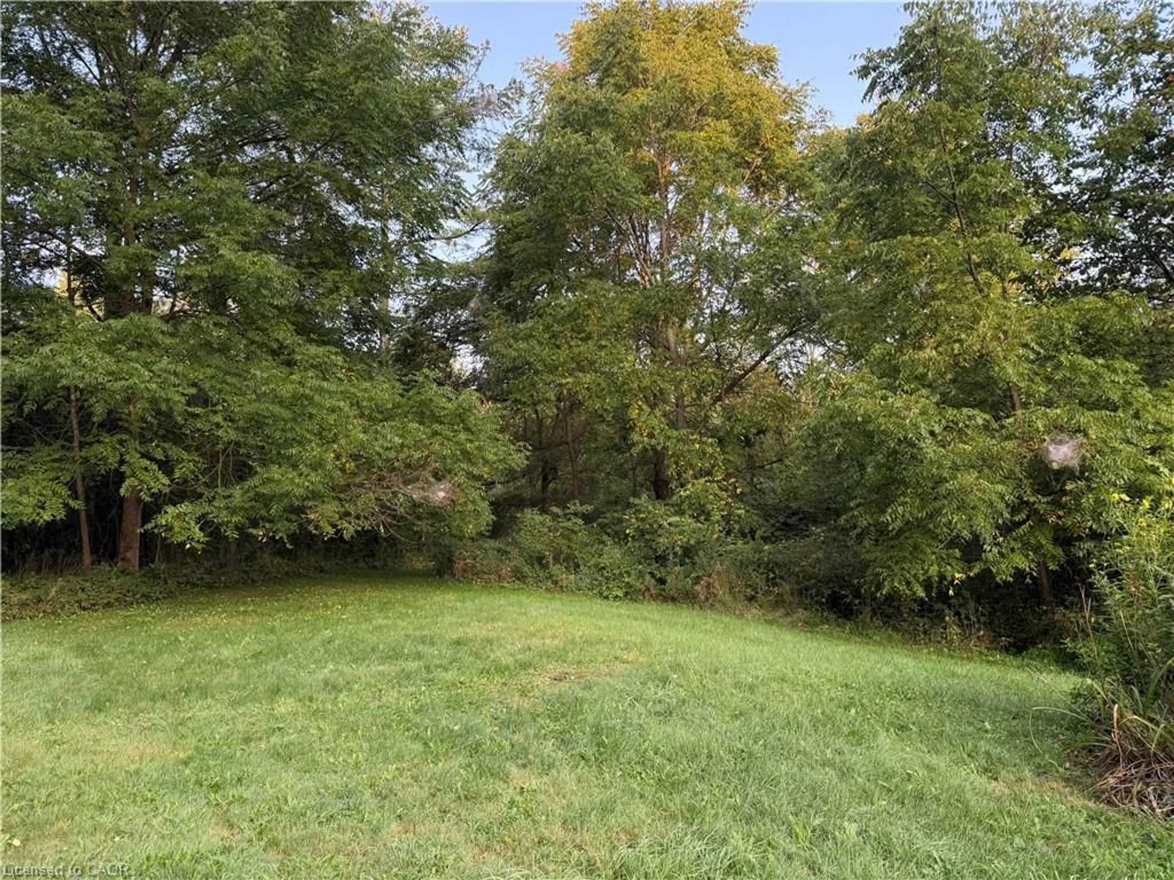 A pic from outside/outdoor area/front of a property/back of a property/a pic from drone, forest/trees view for 585 Wilmot Line, St. Agatha Ontario N2J 3Z4