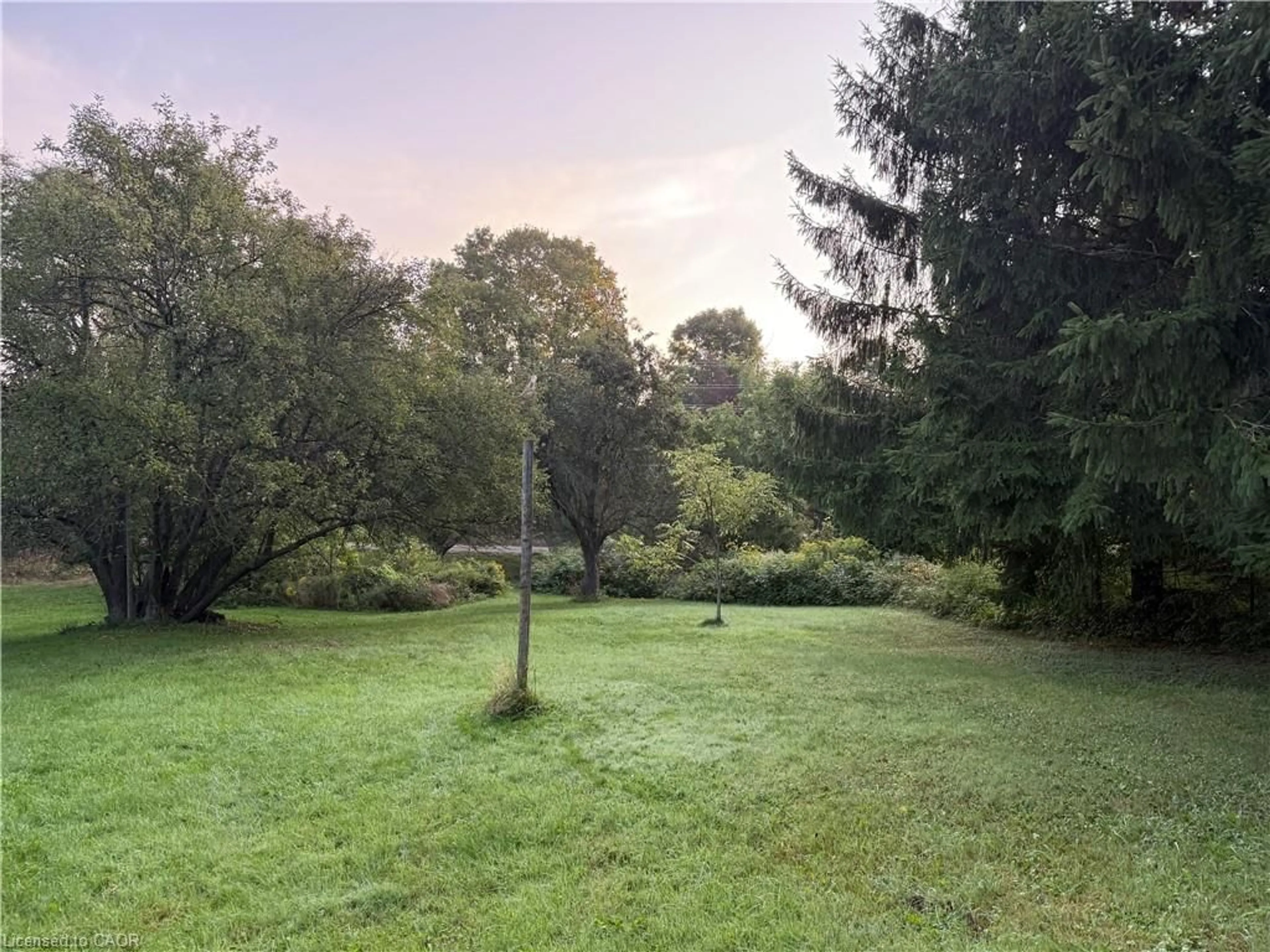 A pic from outside/outdoor area/front of a property/back of a property/a pic from drone, forest/trees view for 585 Wilmot Line, St. Agatha Ontario N2J 3Z4
