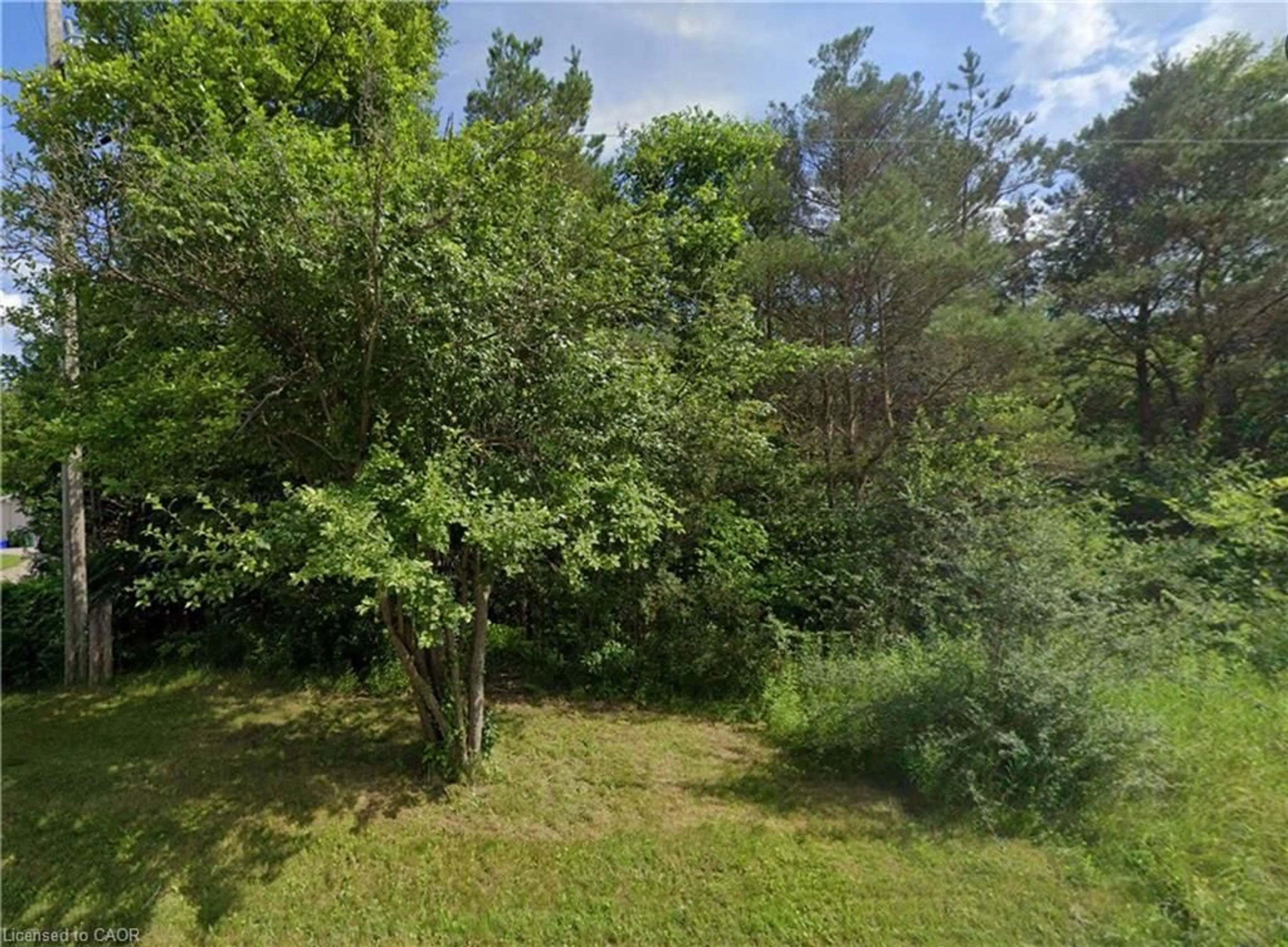 A pic from outside/outdoor area/front of a property/back of a property/a pic from drone, forest/trees view for 13 Cedar Lane, Dufferin Ontario L9W 6C8