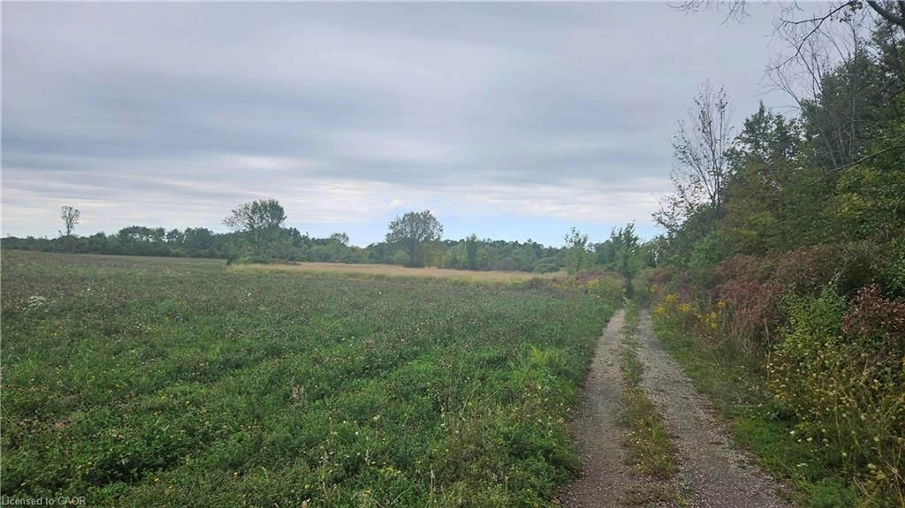 Blurry image for PT S1/2 LT 7 Junction Rd, Cayuga Ontario N0A 1E0