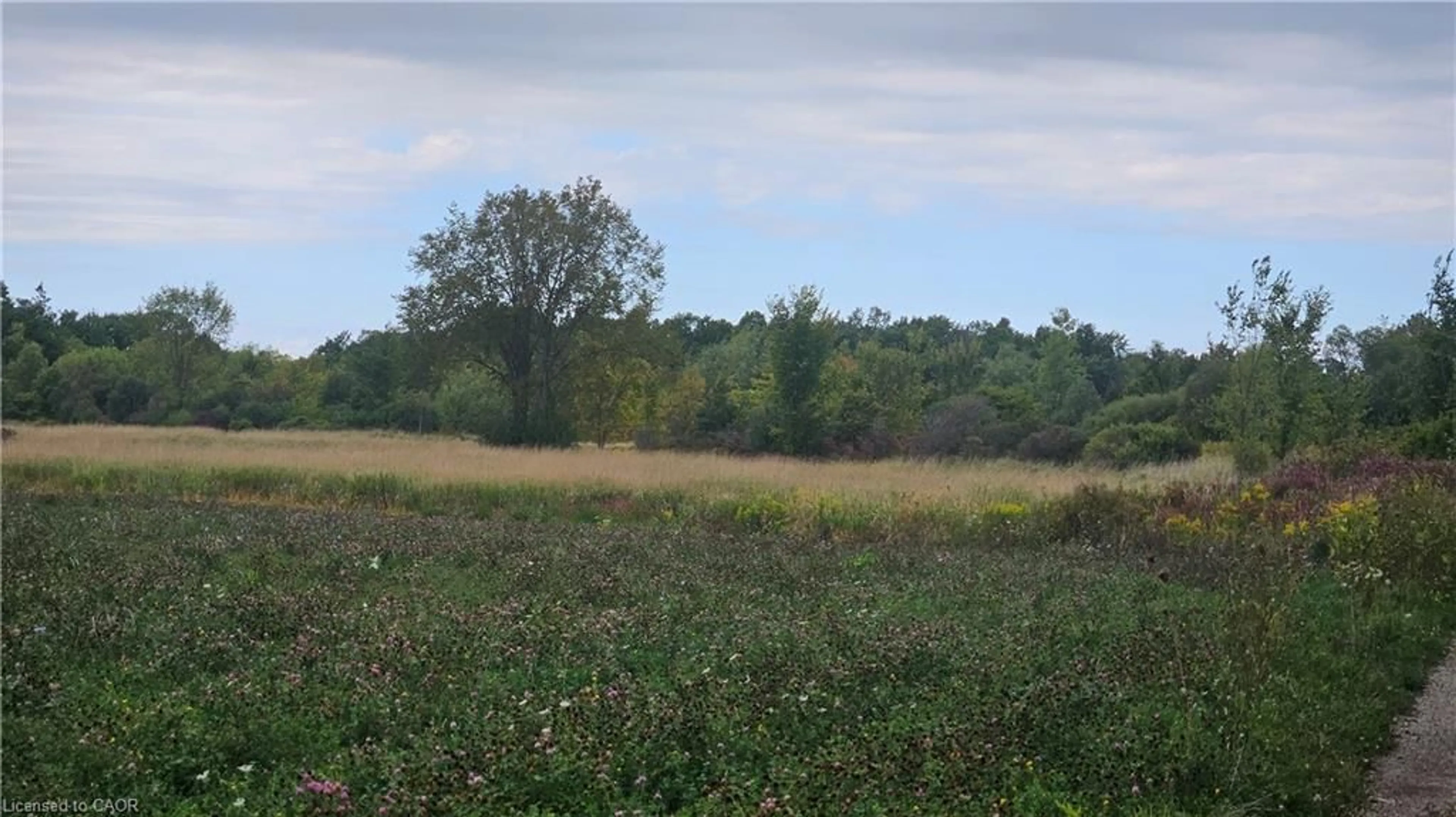 Blurry image for PT S1/2 LT 7 Junction Rd, Cayuga Ontario N0A 1E0