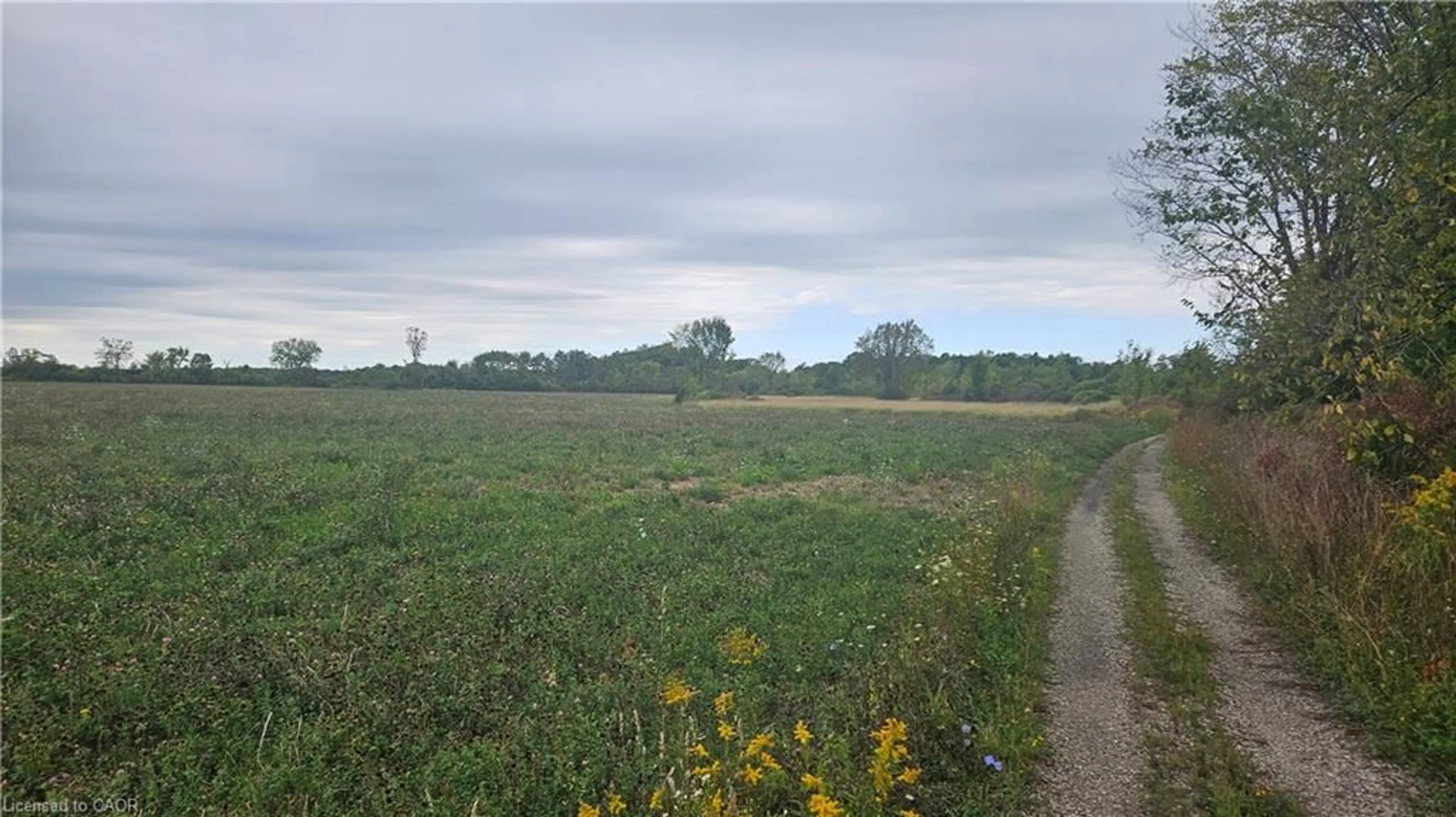 Blurry image for PT S1/2 LT 7 Junction Rd, Cayuga Ontario N0A 1E0