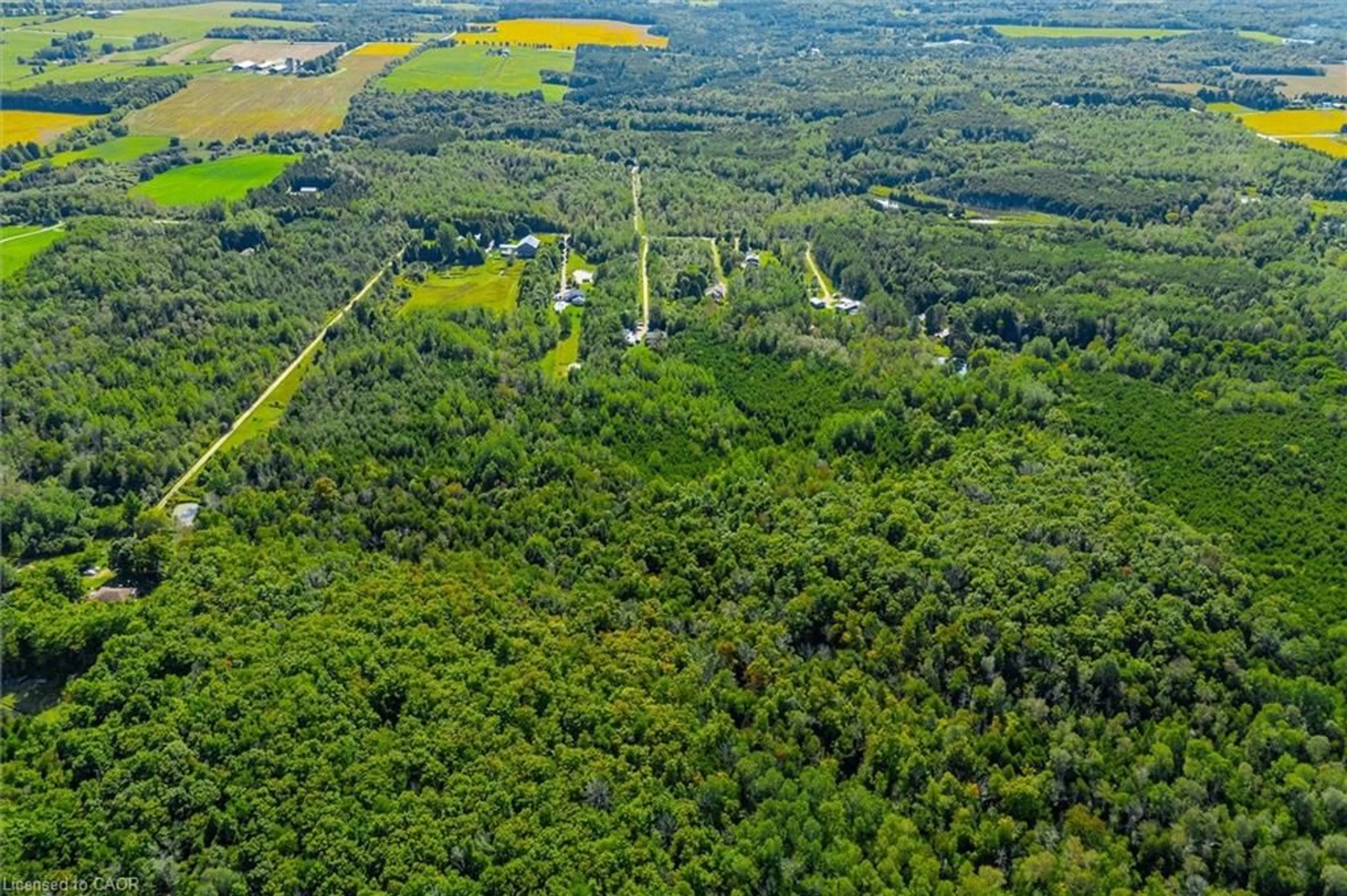 A pic from outside/outdoor area/front of a property/back of a property/a pic from drone, forest/trees view for 6127 First Line, Orton Ontario L0N 1N0