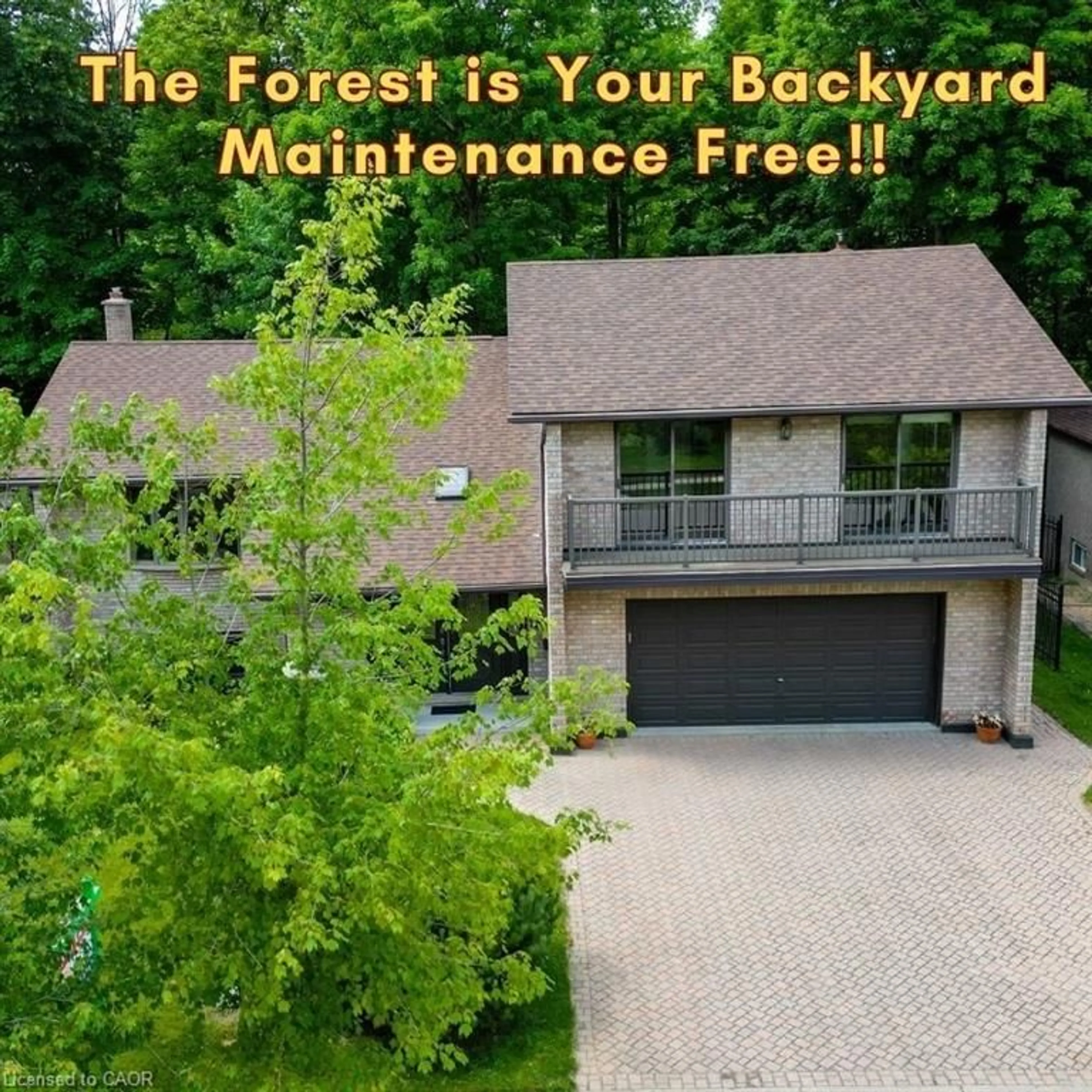 A pic from outside/outdoor area/front of a property/back of a property/a pic from drone, forest/trees view for 391 Northlake Dr, Waterloo Ontario N2V 1W8