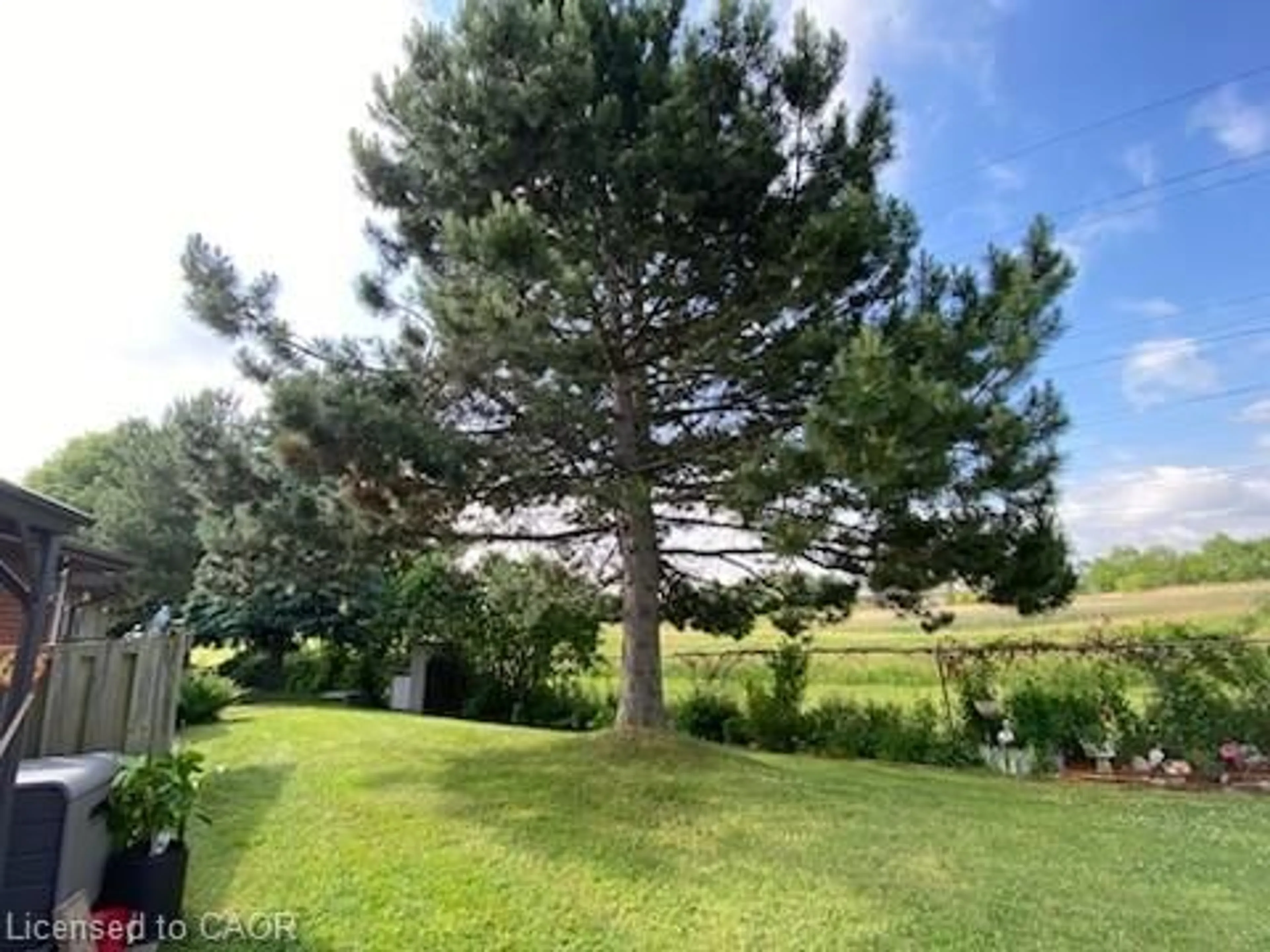 A pic from outside/outdoor area/front of a property/back of a property/a pic from drone, forest/trees view for 41 Sister Kern Terr, Hamilton Ontario L9B 2M1