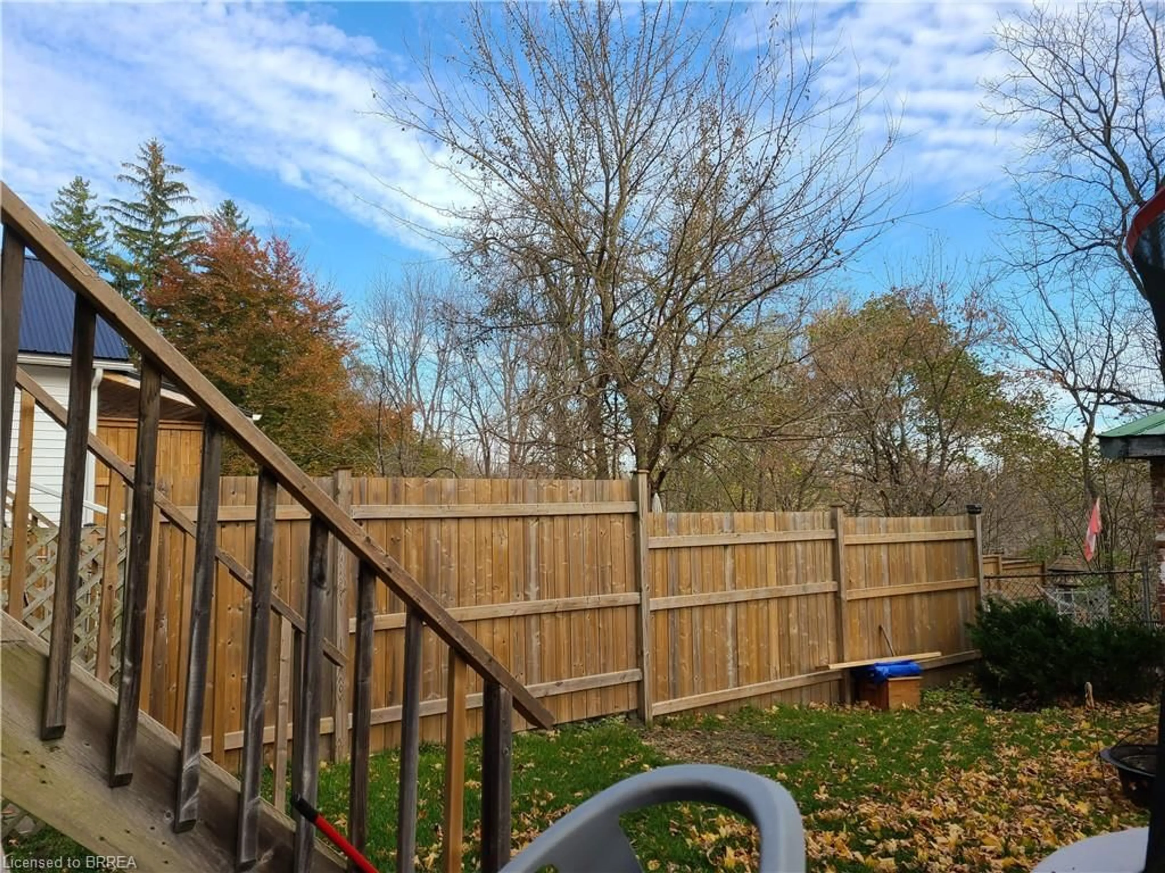 A pic from outside/outdoor area/front of a property/back of a property/a pic from drone, forest/trees view for 29/31 London St, Tillsonburg Ontario N4G 2K9