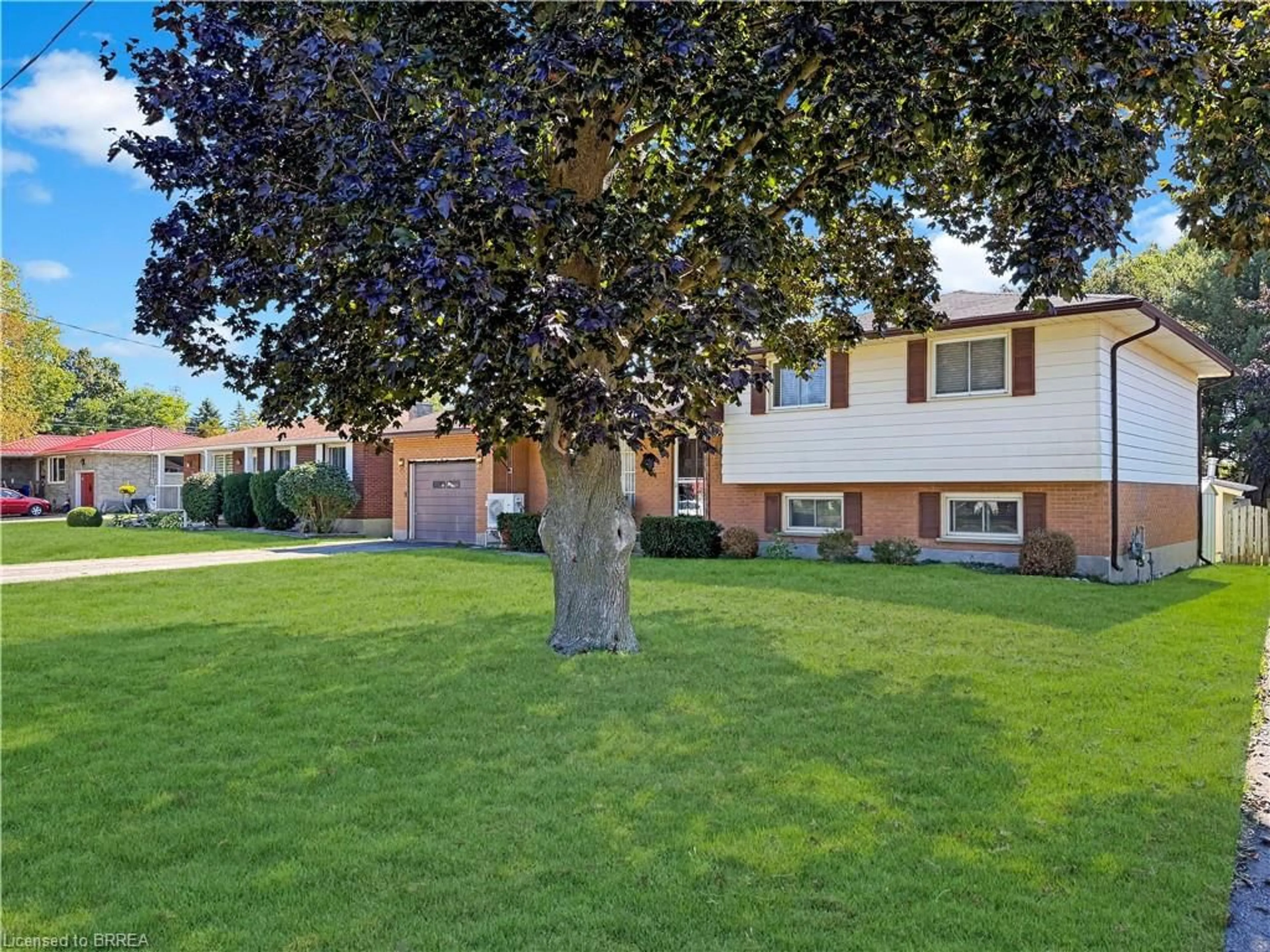 Unknown for 46 Davis St, Simcoe Ontario N3Y 2R4
