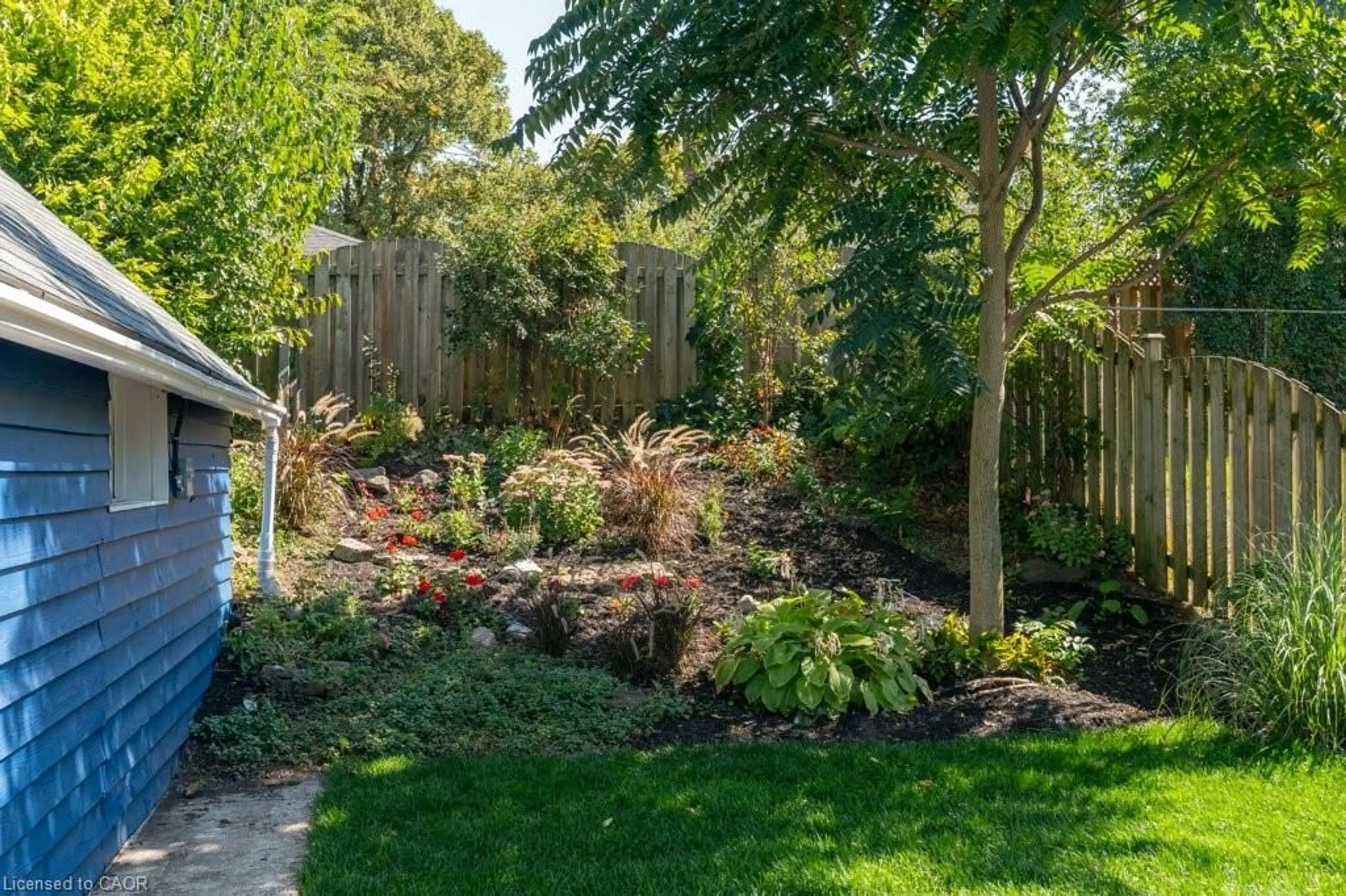 Patio, street for 18 St Clair Ave, Kitchener Ontario N2M 3Z4