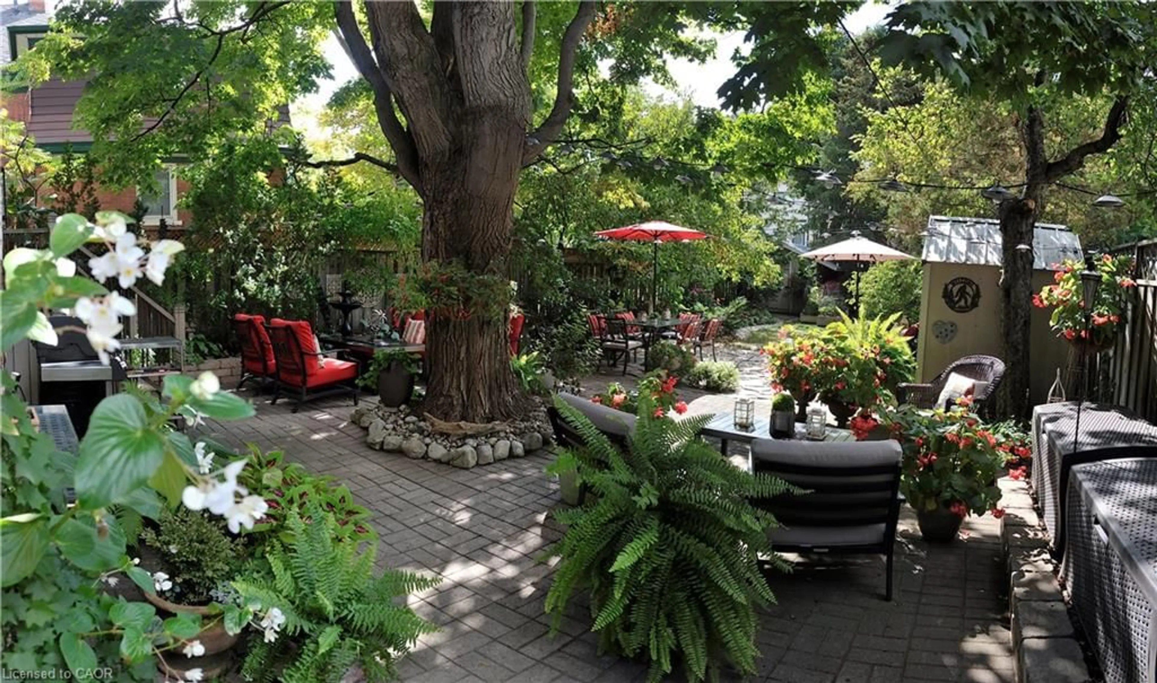 Patio, street for 43 Troy St, Kitchener Ontario N2H 1L7
