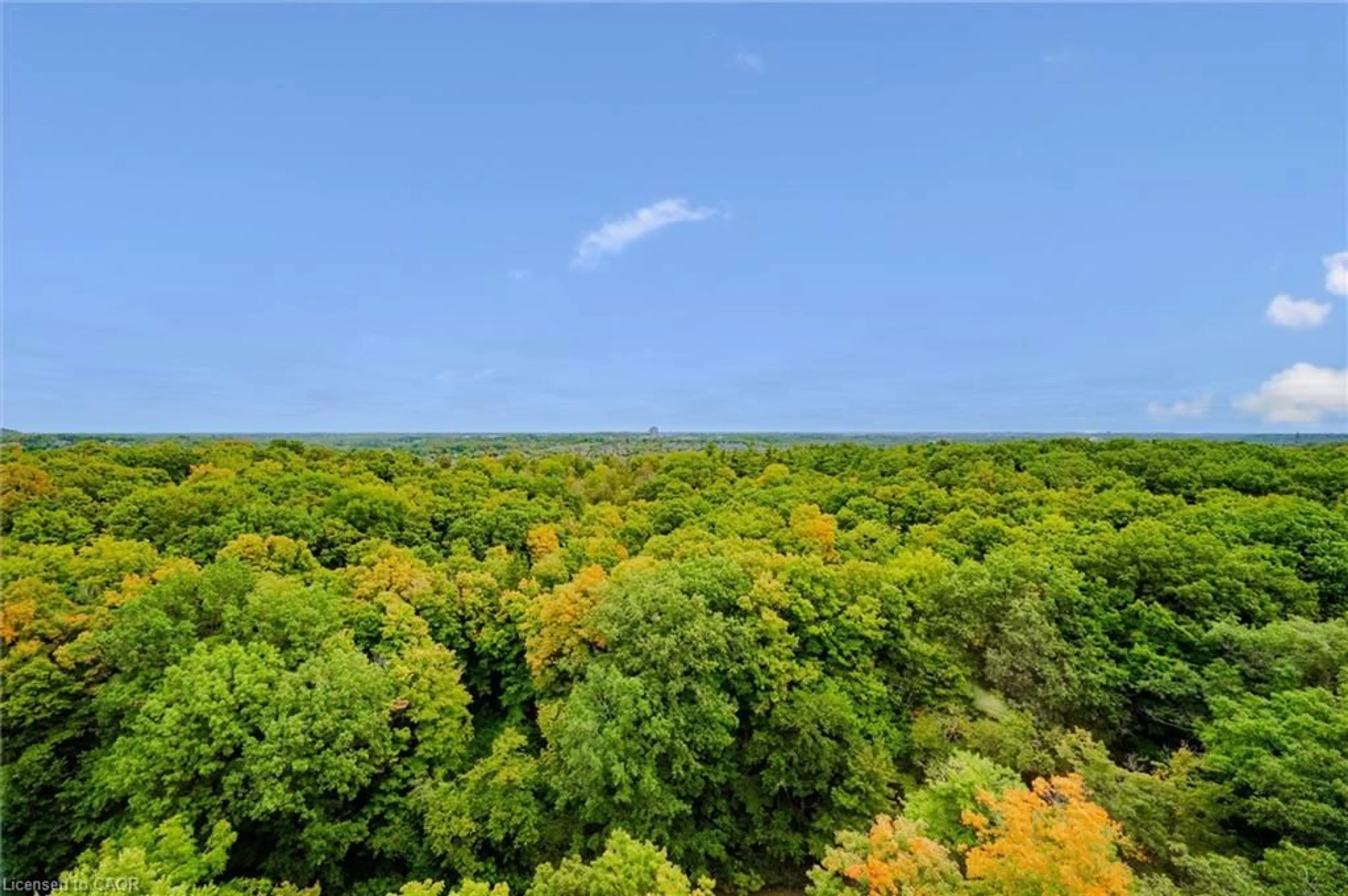 A pic from outside/outdoor area/front of a property/back of a property/a pic from drone, forest/trees view for 55 Green Valley Dr #1812, Kitchener Ontario N2P 1Z6