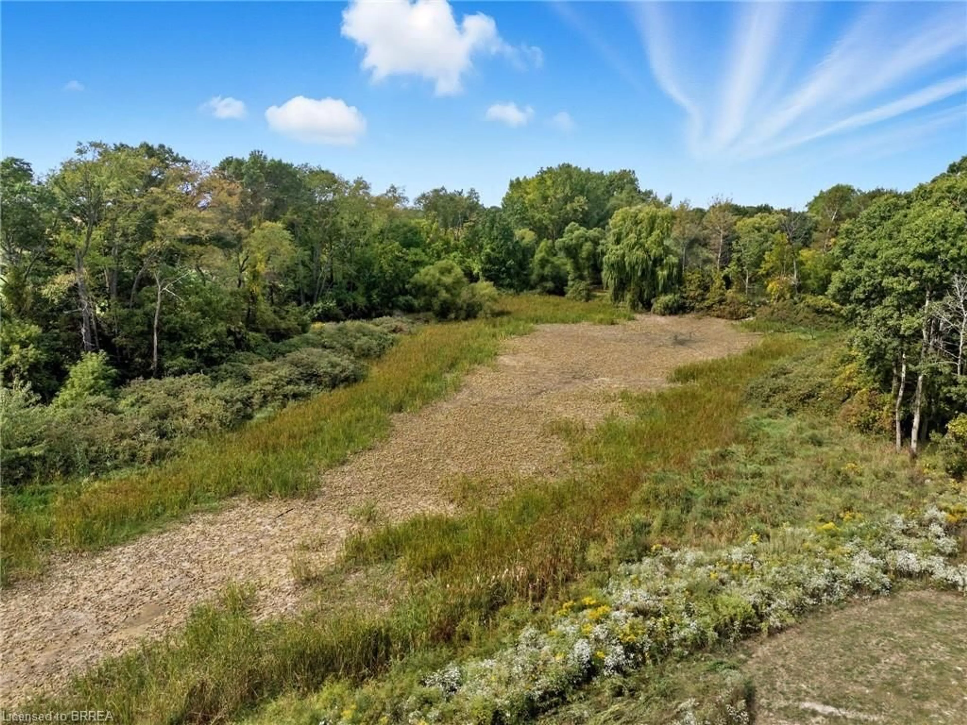 A pic from outside/outdoor area/front of a property/back of a property/a pic from drone, forest/trees view for 229 Pleasant Ridge Rd, Brantford Ontario N3R 0B8