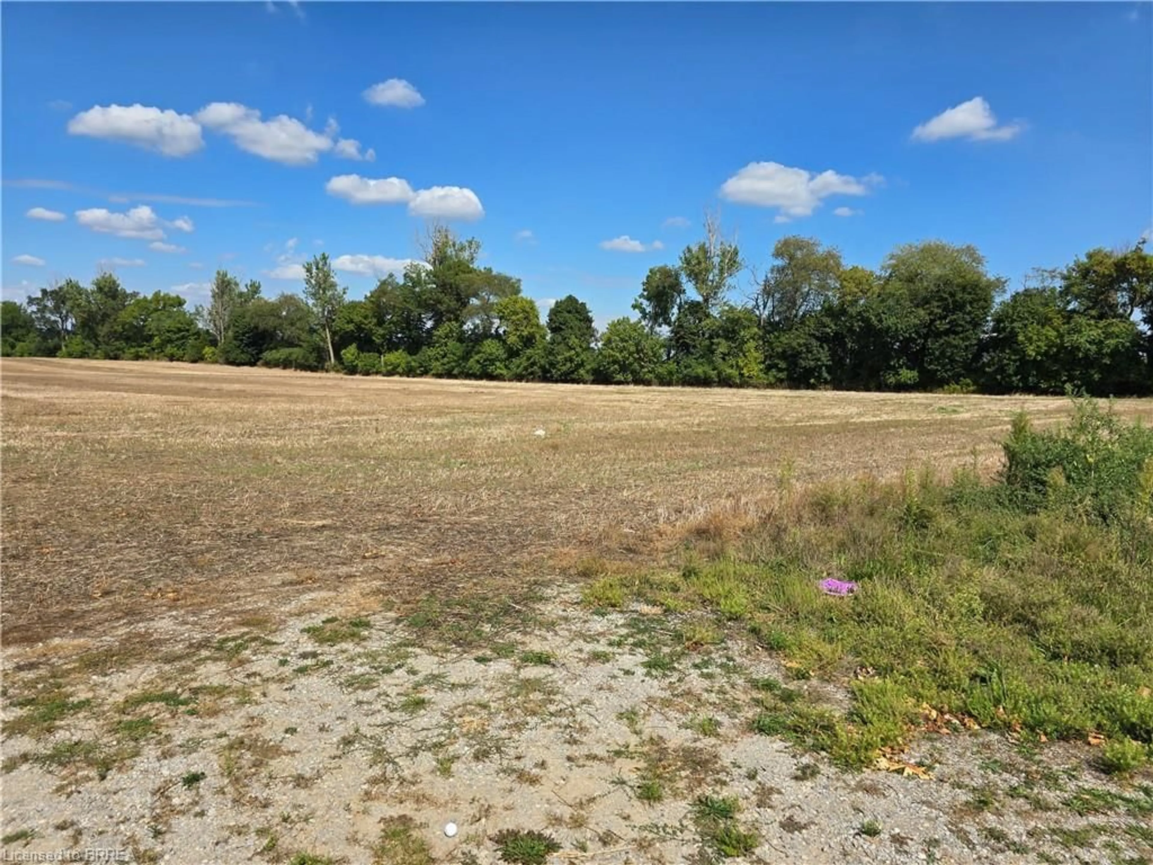 A pic from outside/outdoor area/front of a property/back of a property/a pic from drone, forest/trees view for 2626 Swimming Pool Rd, La Salette Ontario N0E 1H0