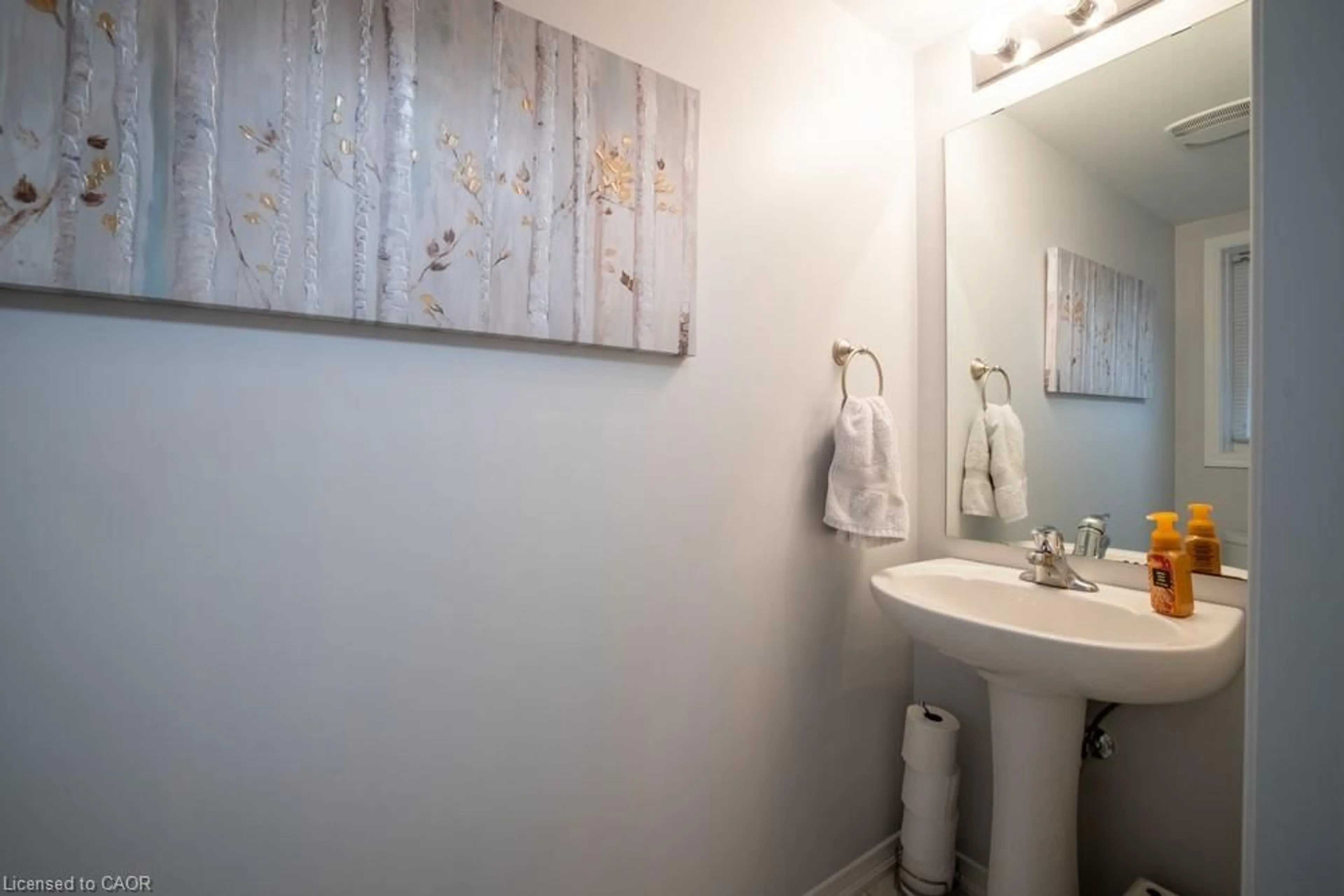 Standard bathroom, unknown for 105 Bisset Avenue Ave, Brantford Ontario N3T 0H4