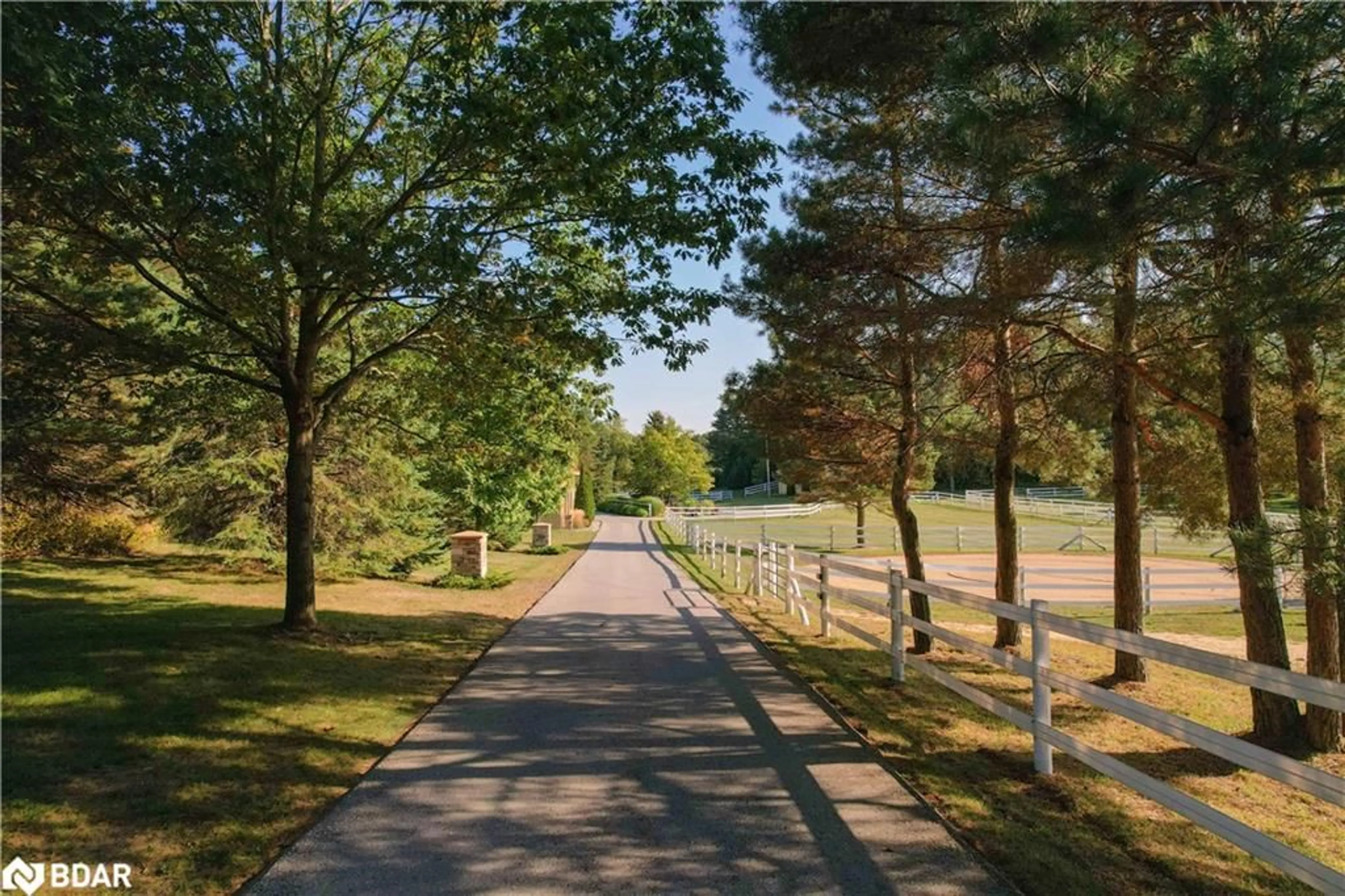 Patio, forest/trees view for 419 Goodwood Rd Rd, Uxbridge Ontario L9P 1R4