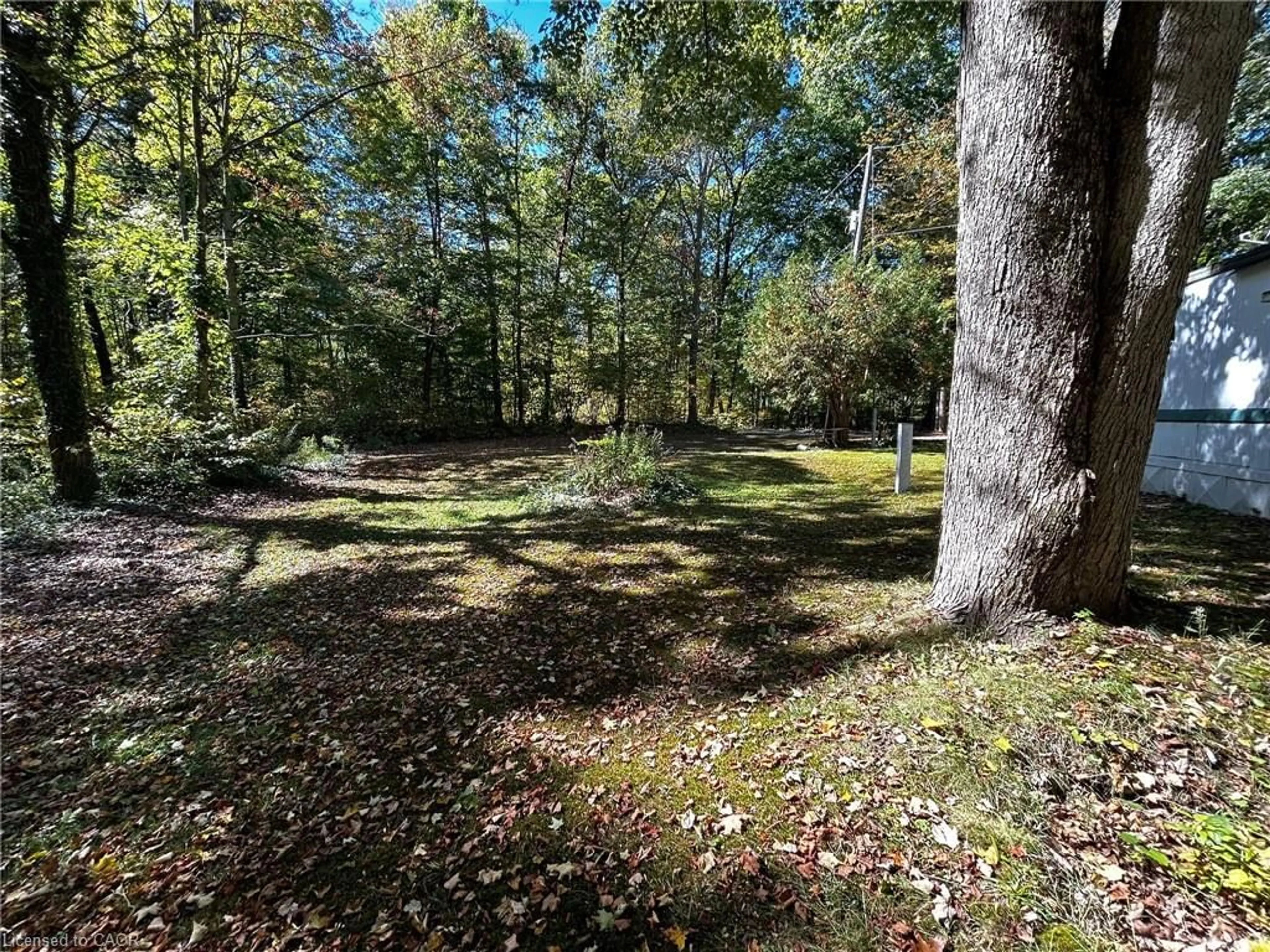 A pic from outside/outdoor area/front of a property/back of a property/a pic from drone, forest/trees view for 334 Rattlesnake Rd #62, Lowbanks Ontario N0A 1K0
