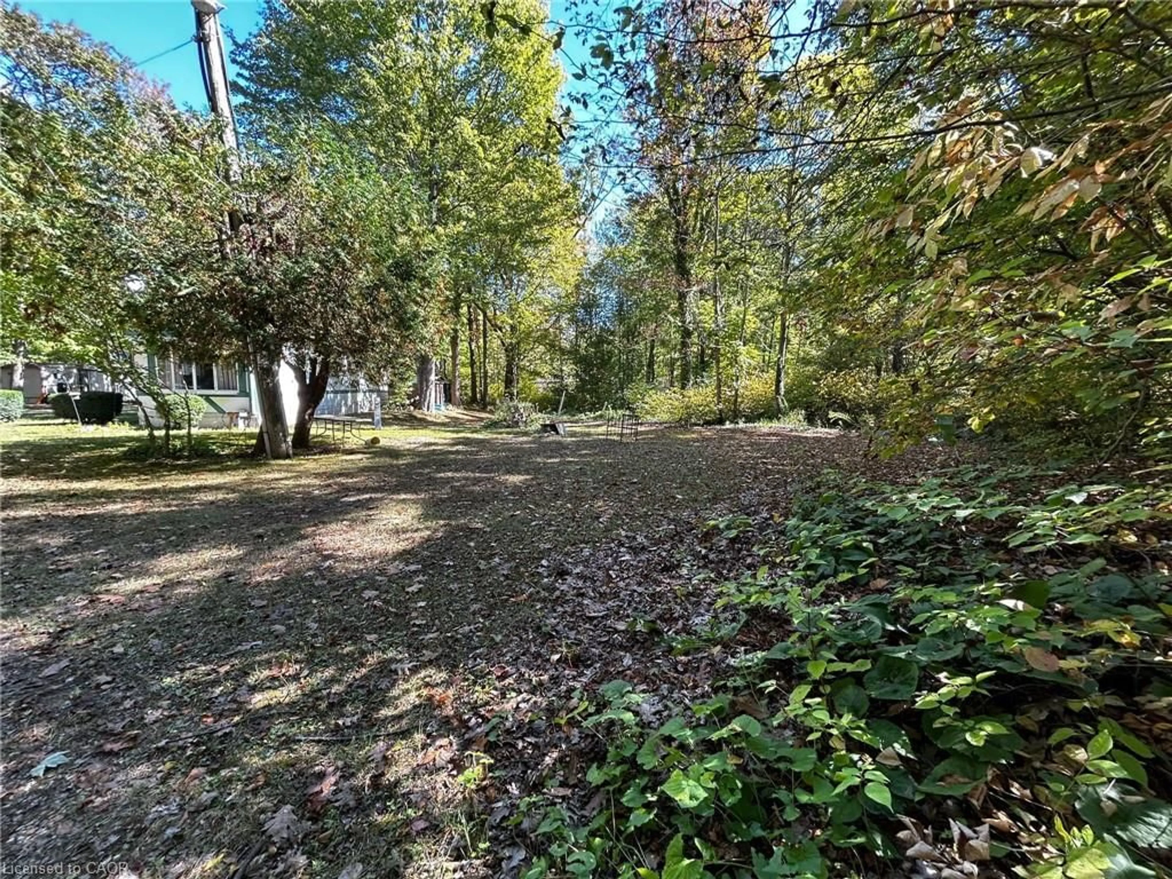 A pic from outside/outdoor area/front of a property/back of a property/a pic from drone, forest/trees view for 334 Rattlesnake Rd #62, Lowbanks Ontario N0A 1K0