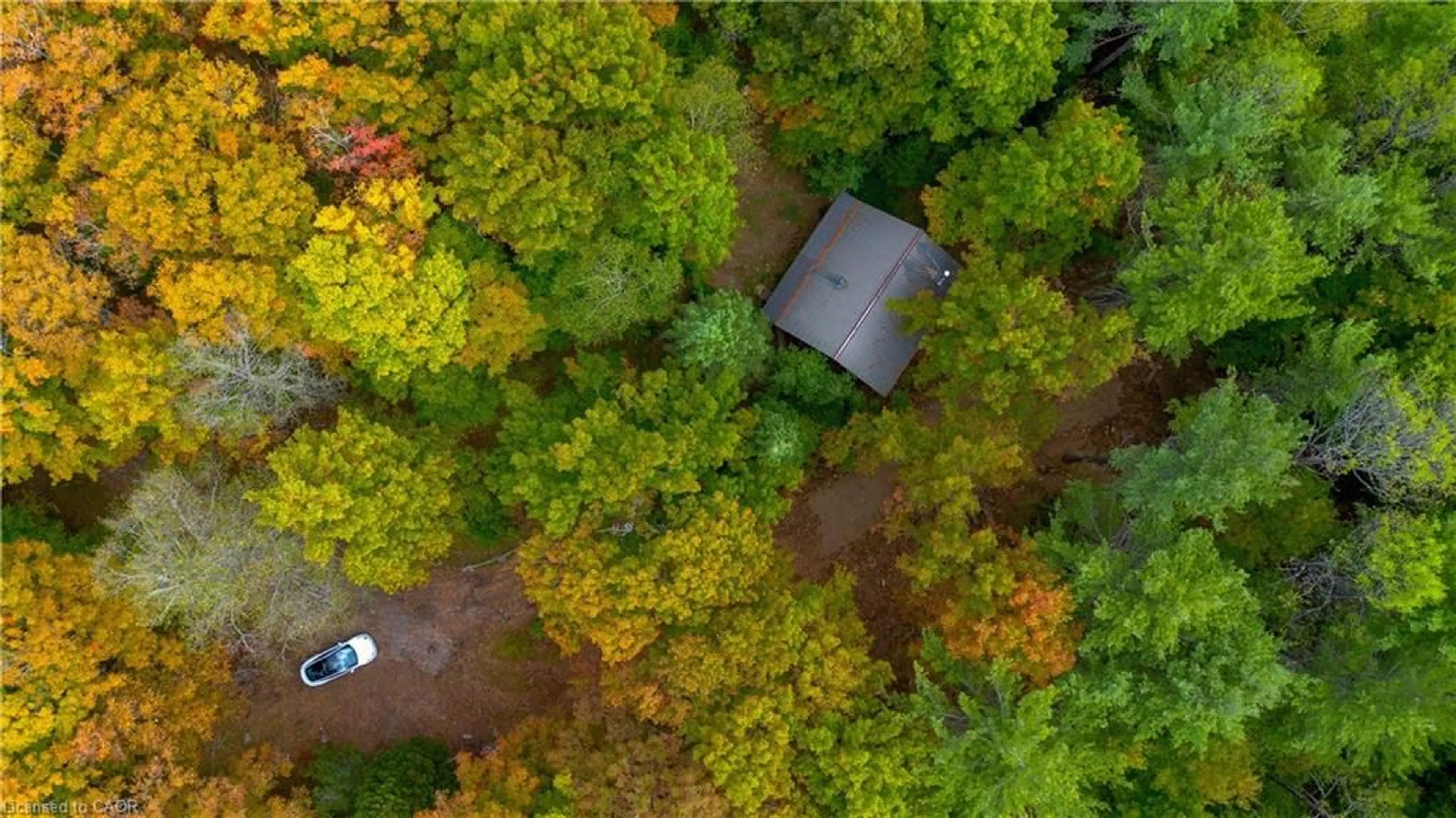 A pic from outside/outdoor area/front of a property/back of a property/a pic from drone, forest/trees view for 10282 County Road 503, Glamorgan Ontario K0M 1R0