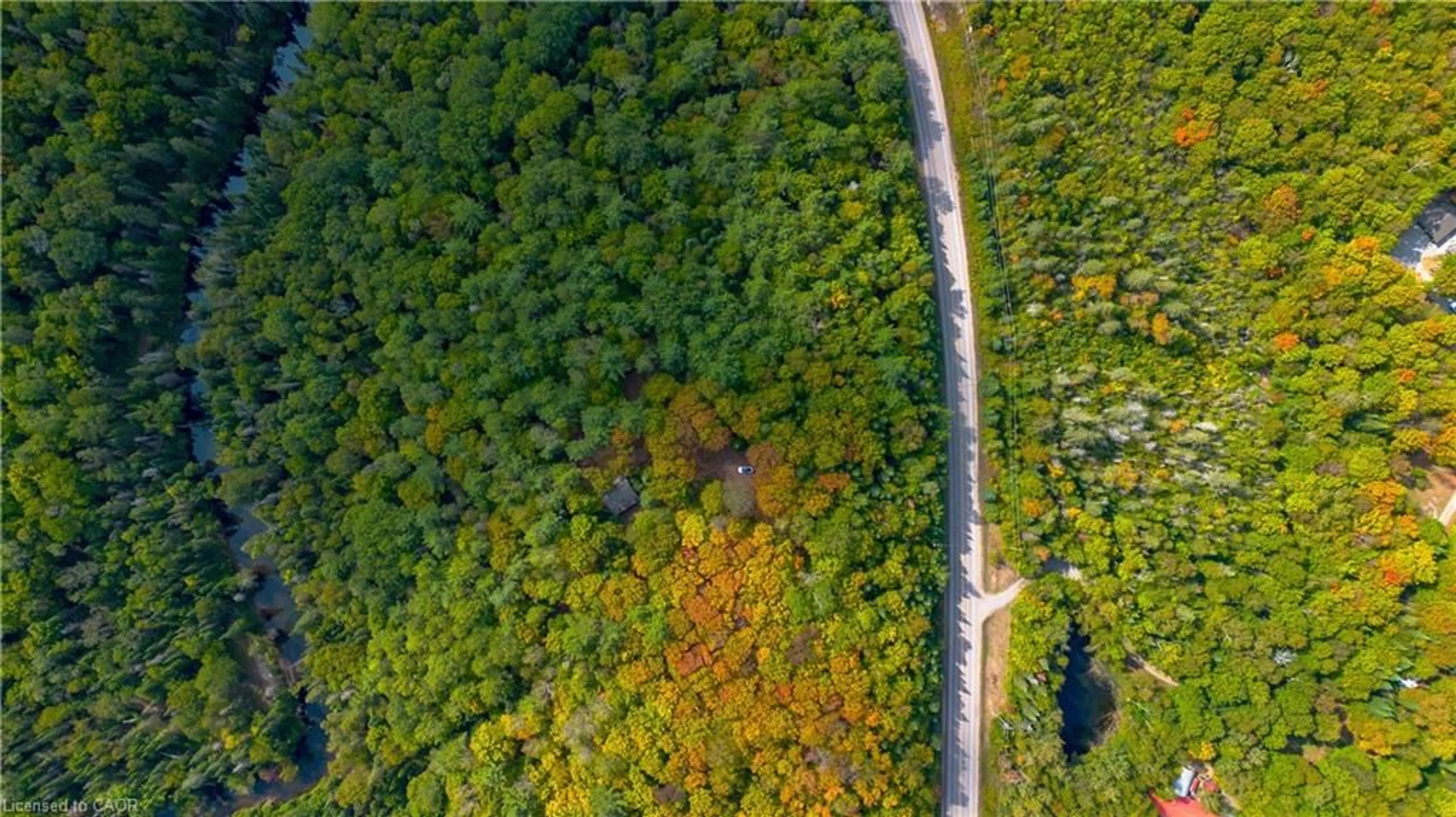 A pic from outside/outdoor area/front of a property/back of a property/a pic from drone, forest/trees view for 10282 County Road 503, Glamorgan Ontario K0M 1R0