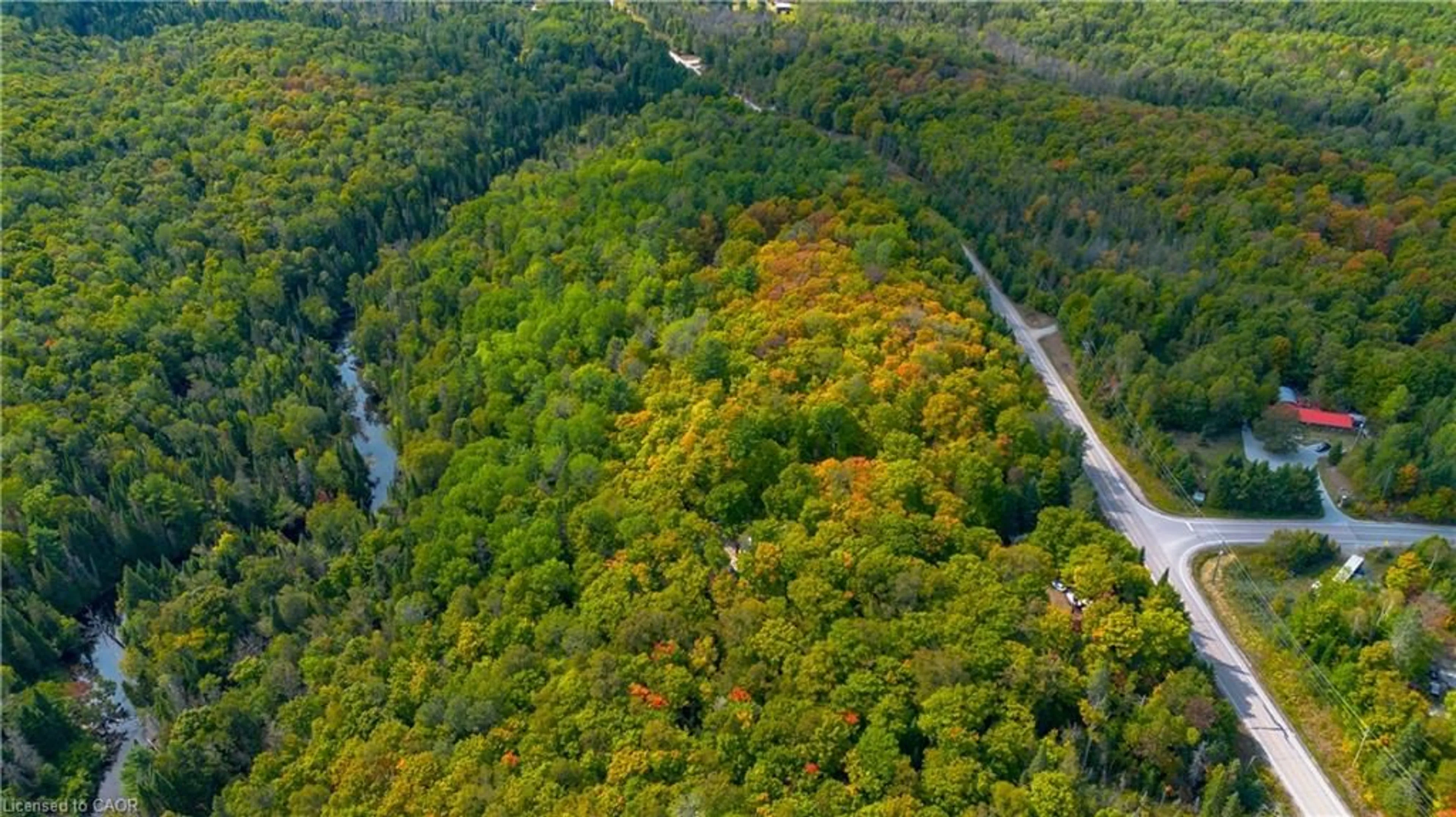 A pic from outside/outdoor area/front of a property/back of a property/a pic from drone, forest/trees view for 10282 County Road 503, Glamorgan Ontario K0M 1R0