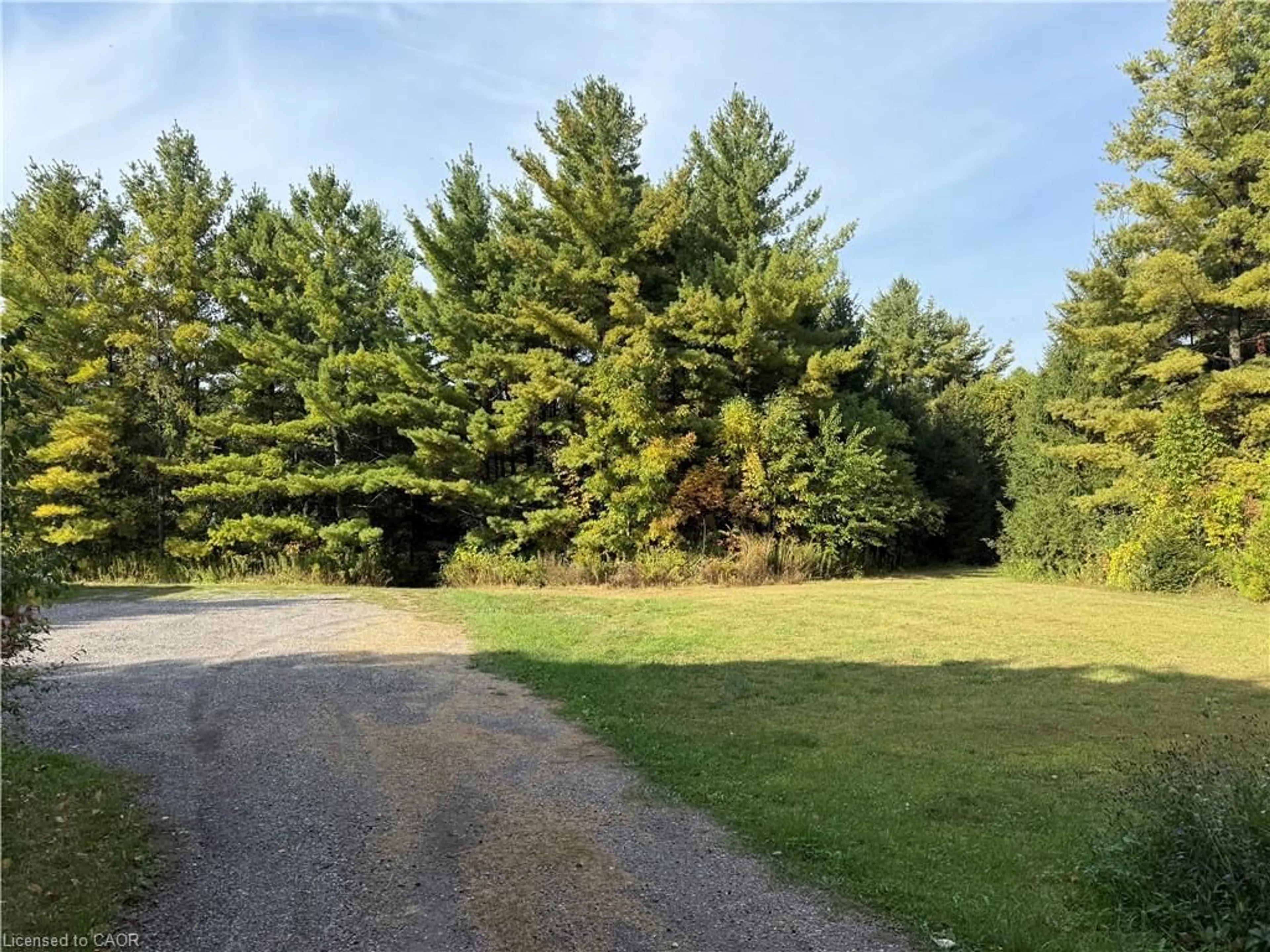 A pic from outside/outdoor area/front of a property/back of a property/a pic from drone, forest/trees view for 6602 Gore Rd, North Dumfries Ontario N0B 2J0