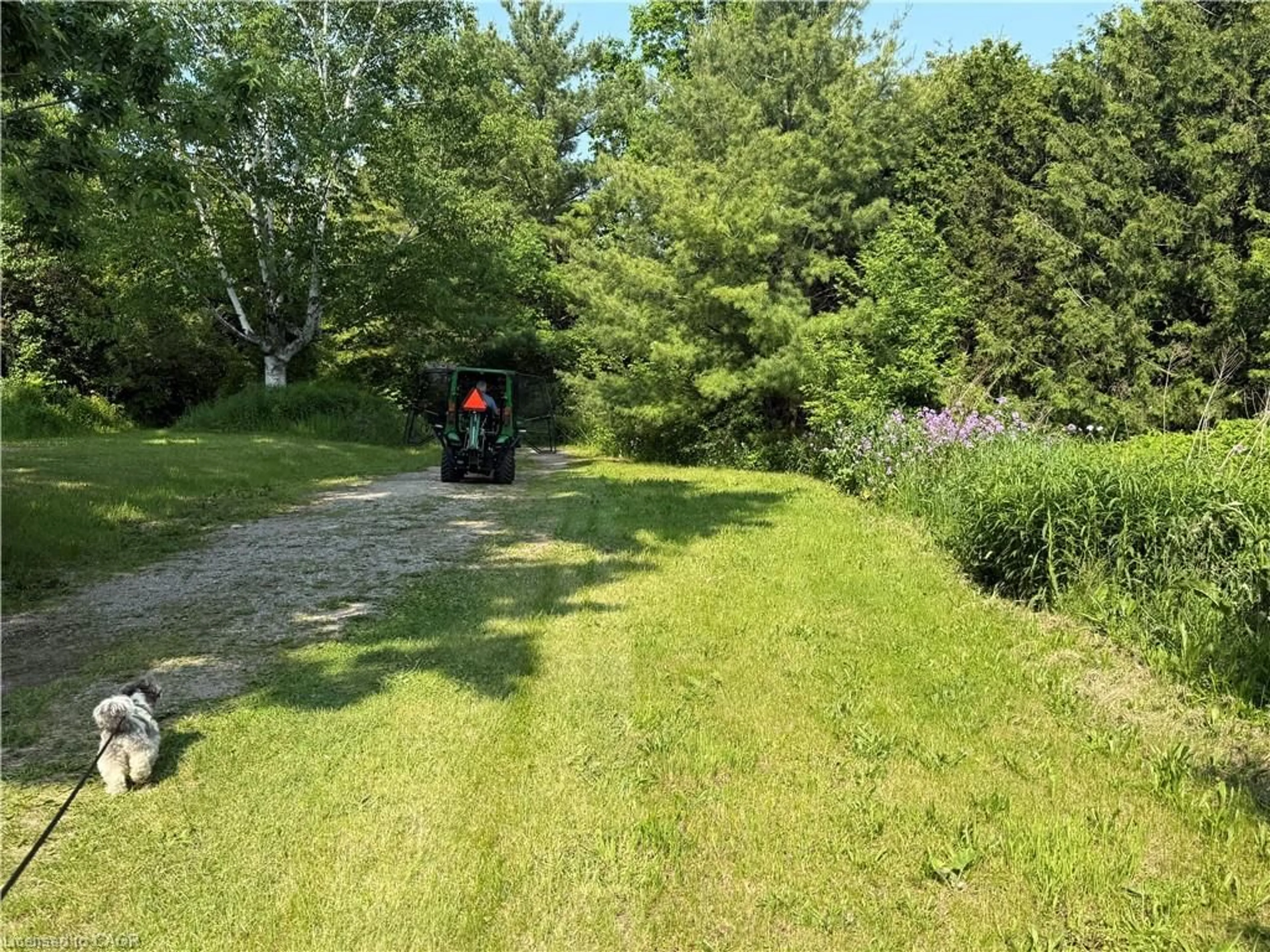 A pic from outside/outdoor area/front of a property/back of a property/a pic from drone, forest/trees view for 6602 Gore Rd, North Dumfries Ontario N0B 2J0