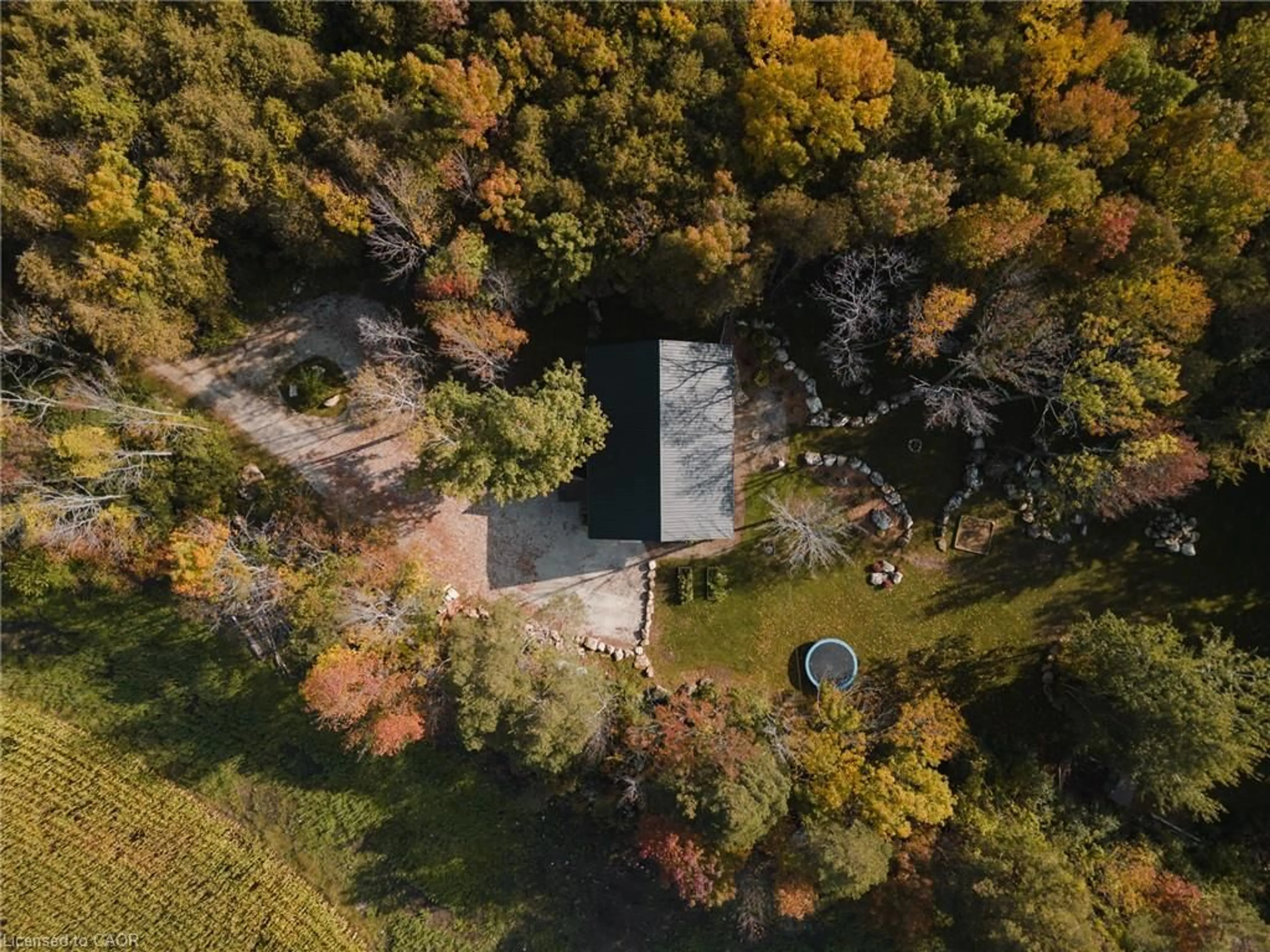 A pic from outside/outdoor area/front of a property/back of a property/a pic from drone, forest/trees view for 245700 Sideroad 22, Meaford Ontario N4L 0A7