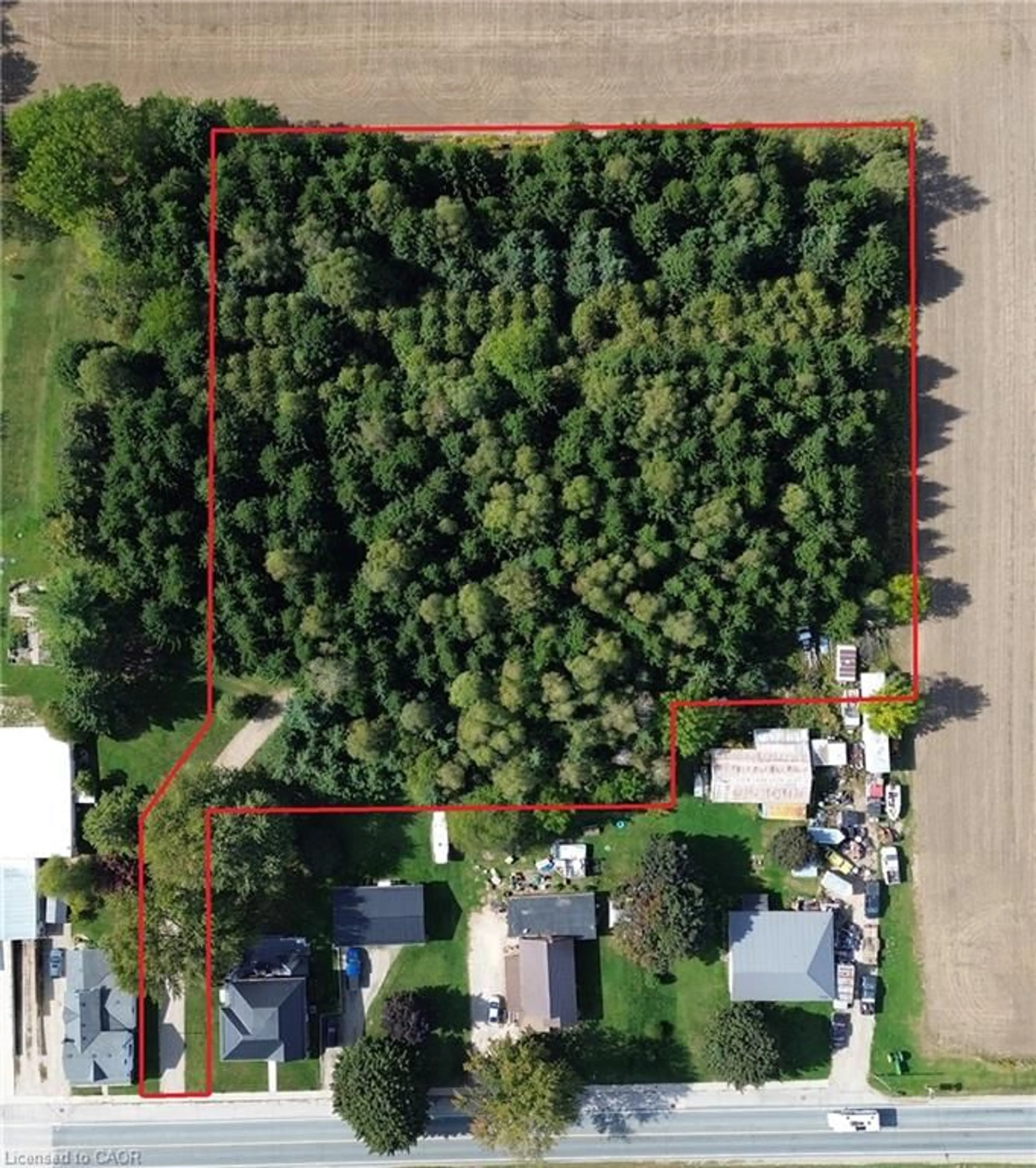 A pic from outside/outdoor area/front of a property/back of a property/a pic from drone, forest/trees view for 18 Baird St, Bright Ontario N0J 1B0