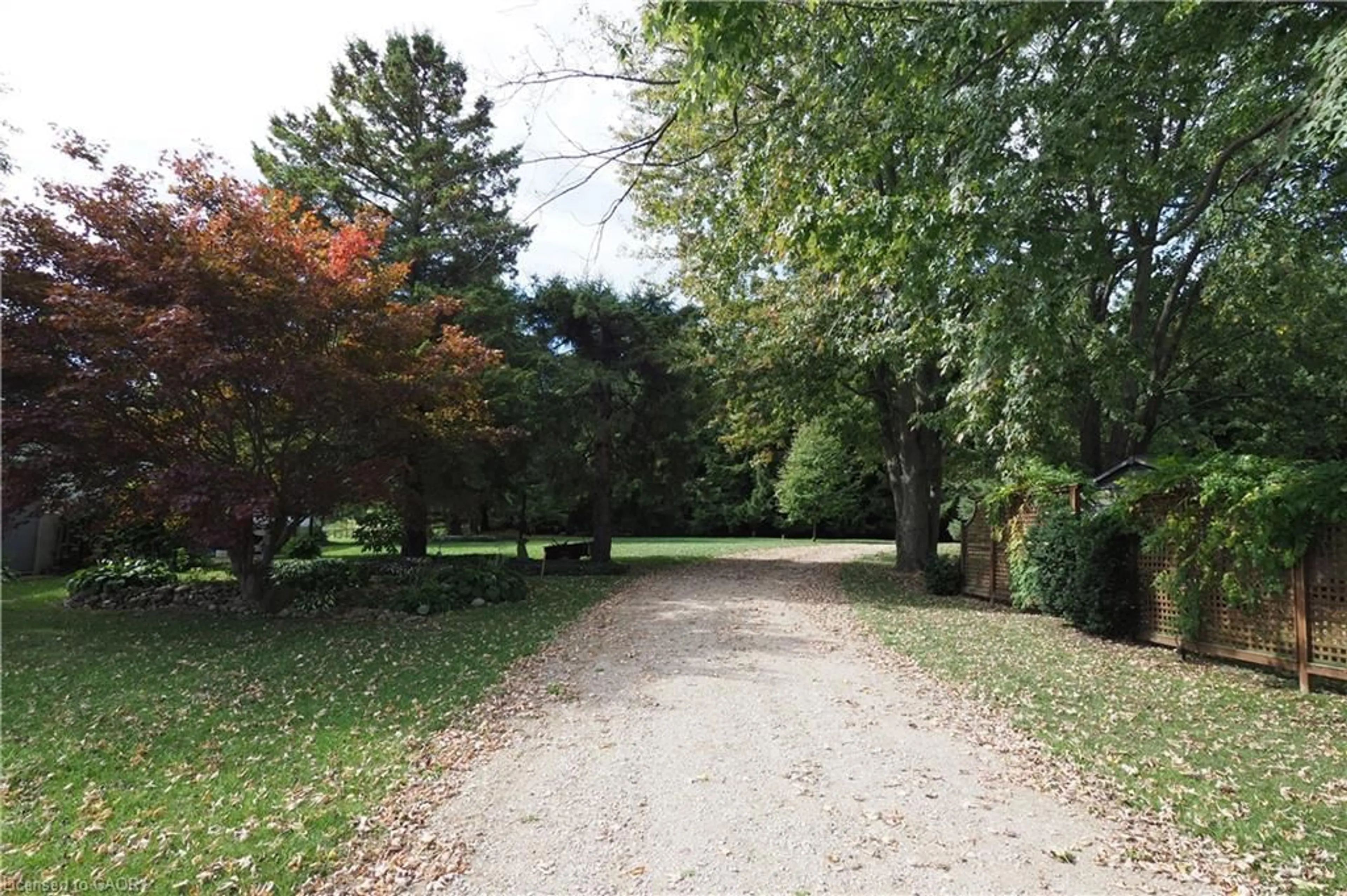 Patio, forest/trees view for 18 Baird St, Bright Ontario N0J 1B0
