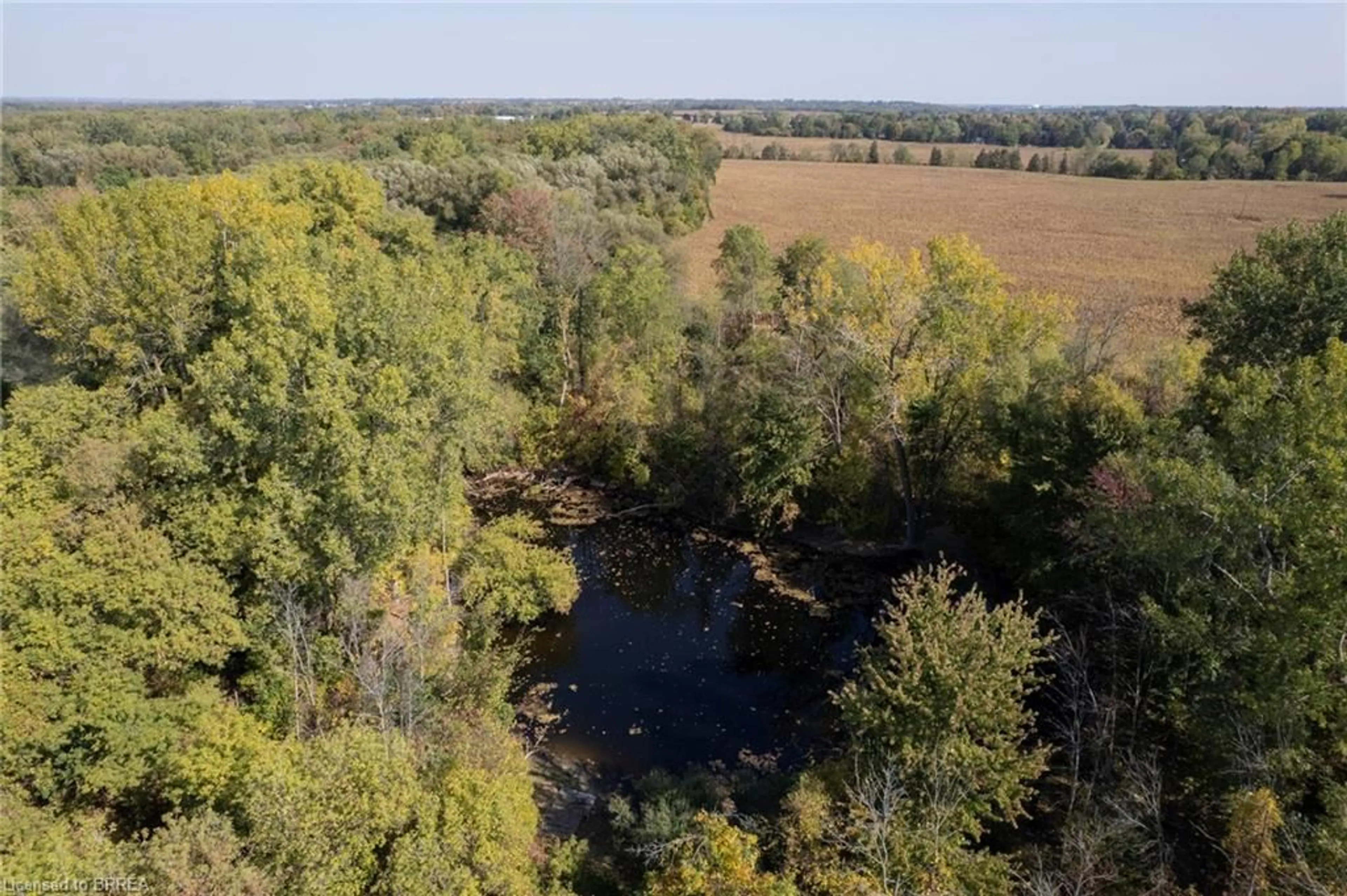 A pic from outside/outdoor area/front of a property/back of a property/a pic from drone, forest/trees view for 206 King St, Burford Ontario N0E 1A0