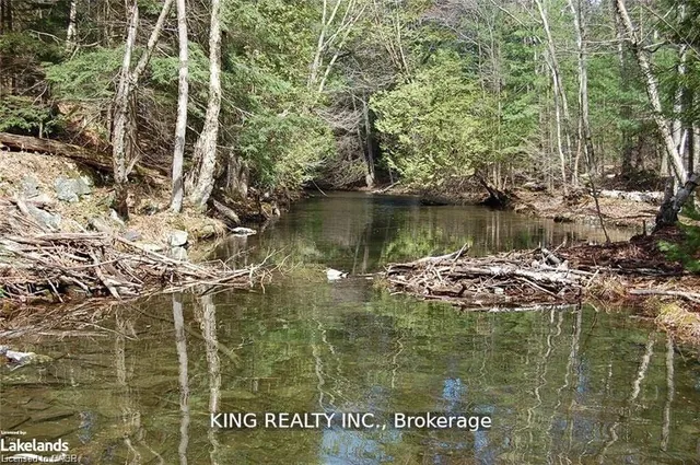 12 Zhaawashkwaa Miikan (Deep Blue Road) Rd #(Lot 13), Seguin 4