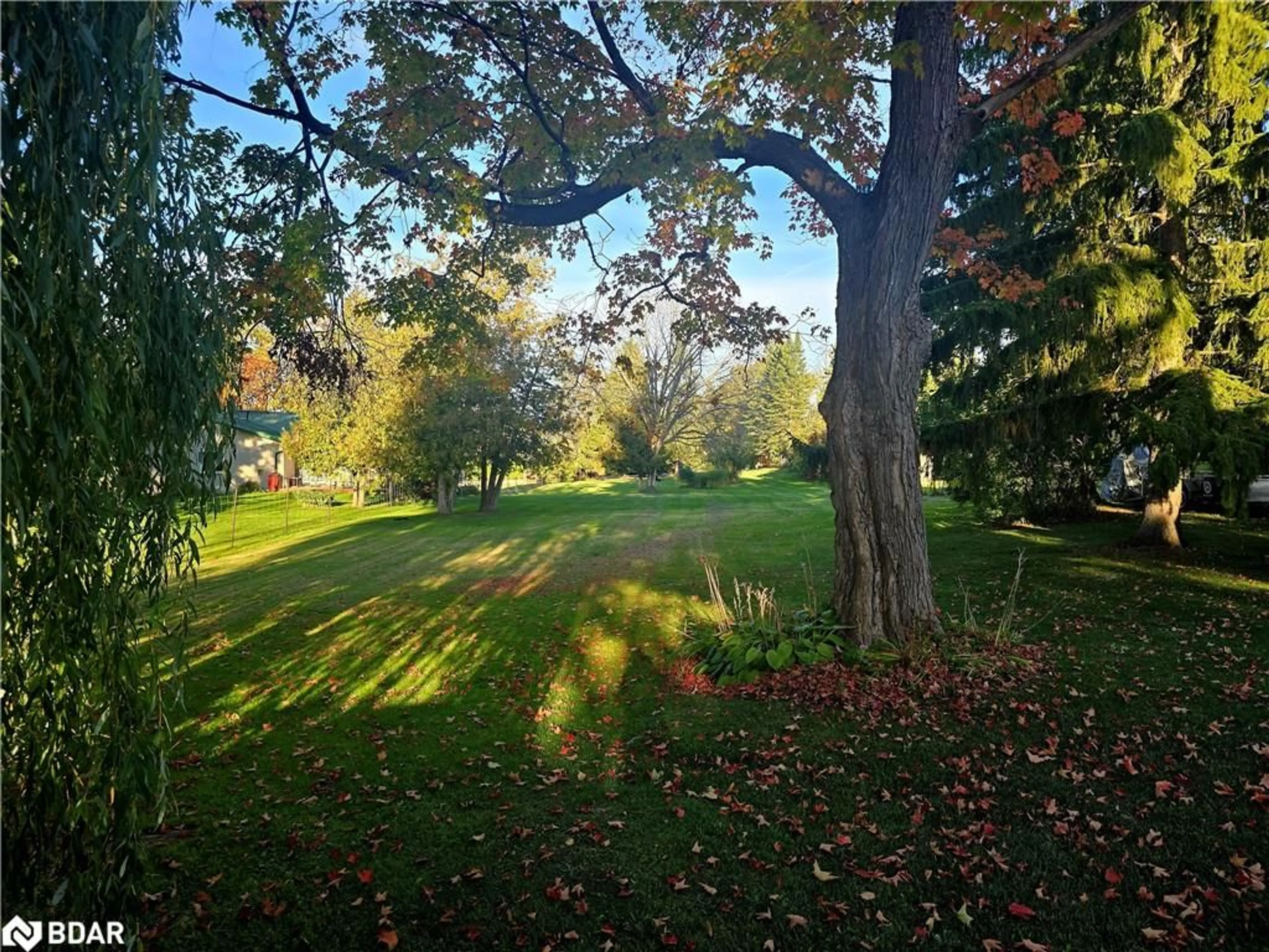 A pic from outside/outdoor area/front of a property/back of a property/a pic from drone, forest/trees view for 0 Butternut Dr, Lindsay Ontario K9V 4R1